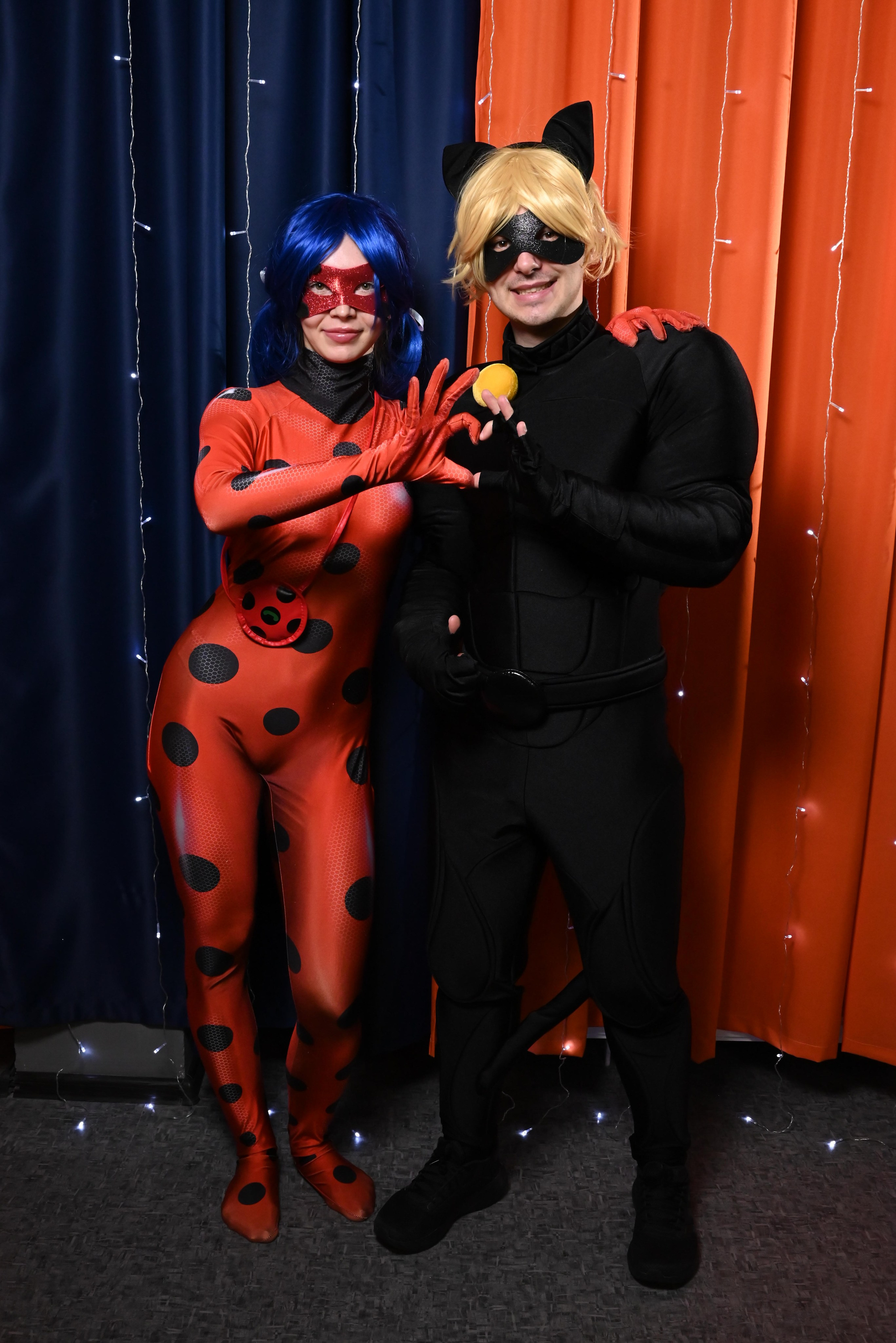 Черный кот и божья коровка. Девятое королевство