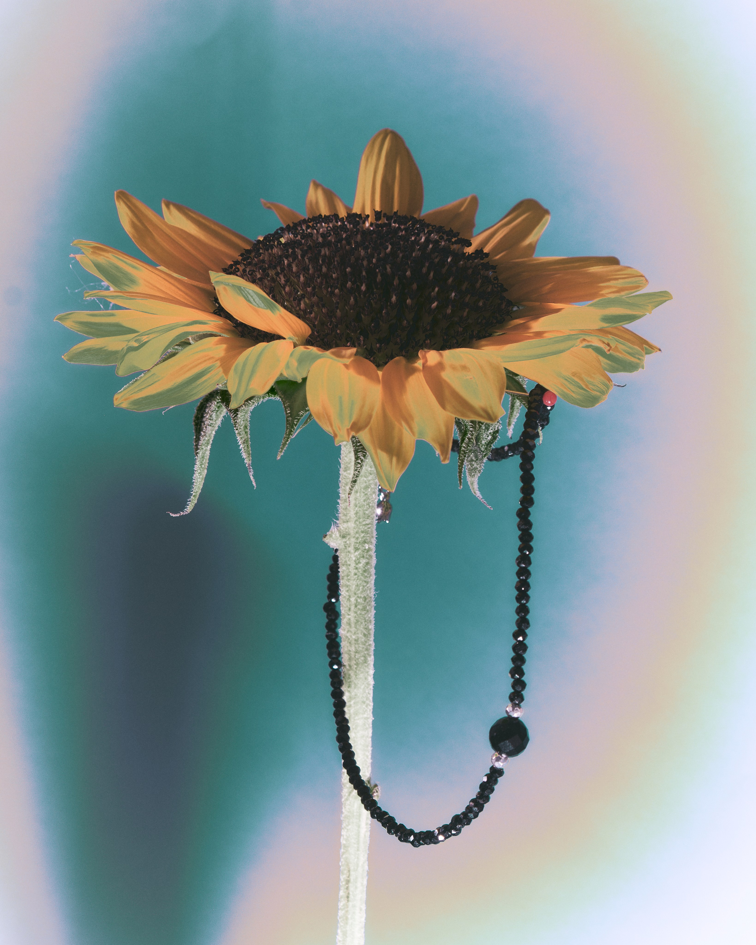 · OBJECTS ·. Фотограф и арт-директор в Алматы