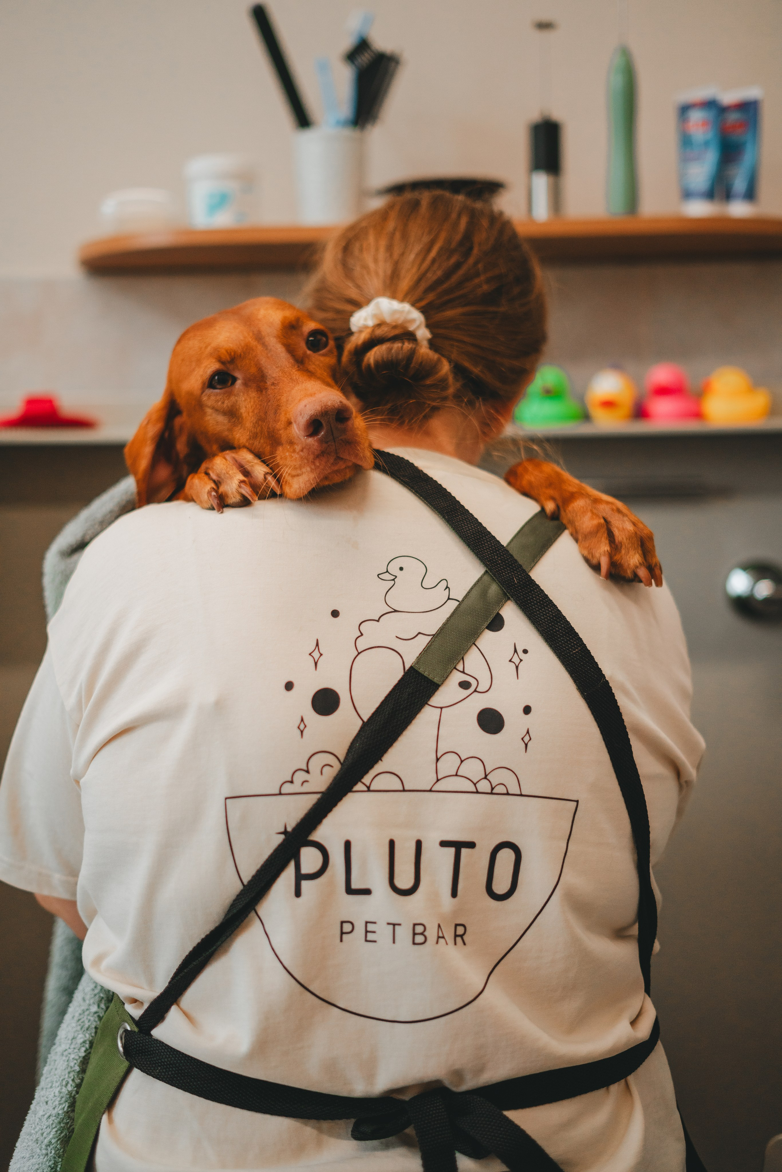 Груминг — салон. Фотограф анималист Осипчикова Мария