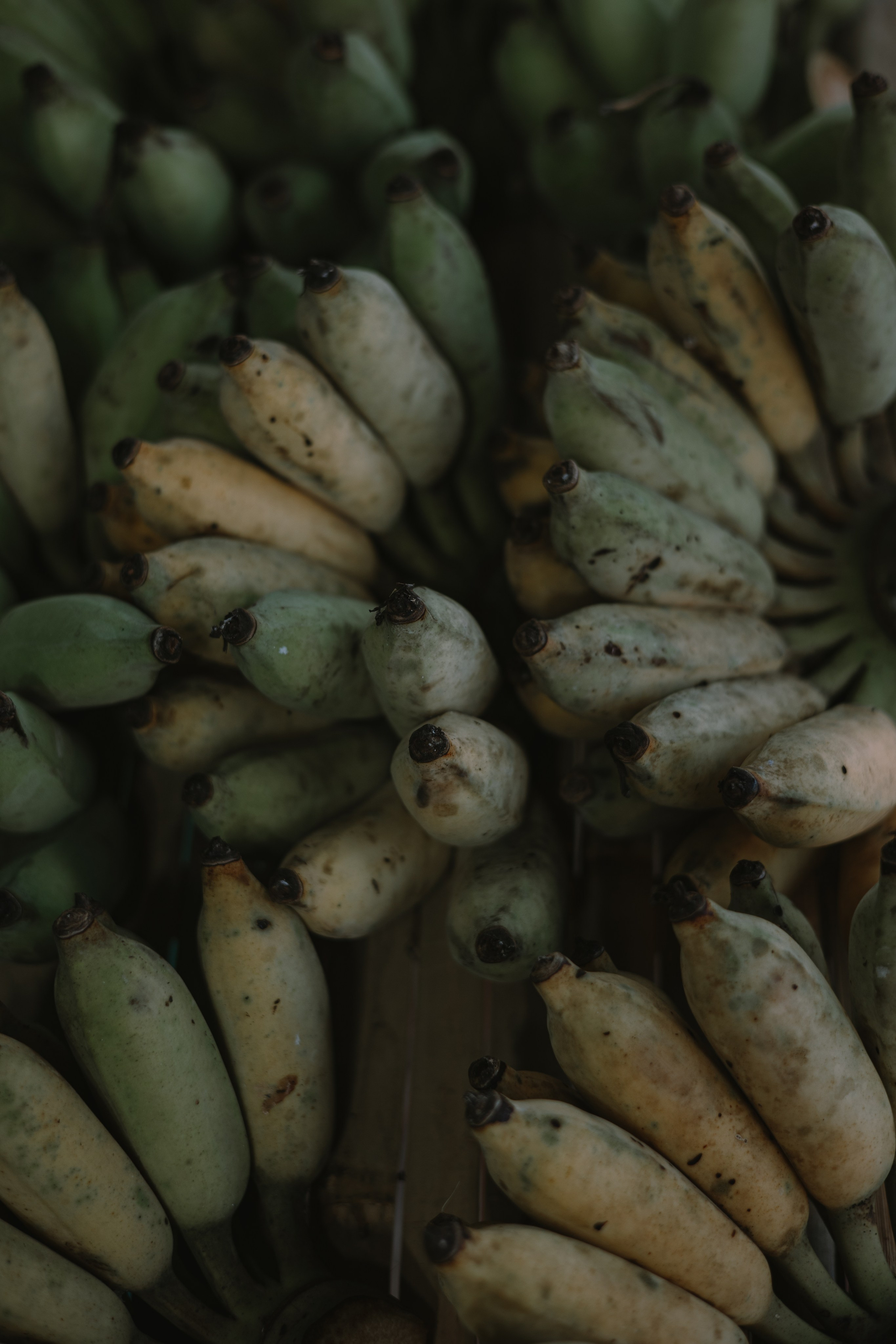 Bangkok. Портретный фотограф