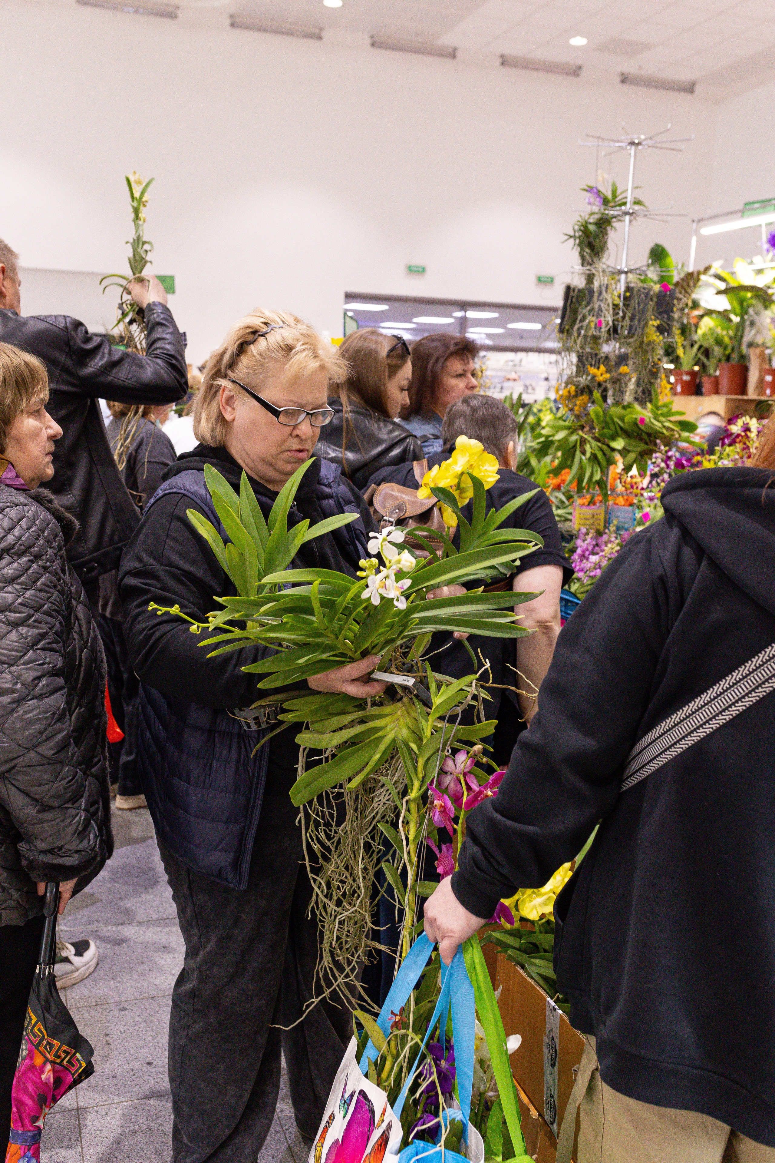 Орхидиум май 2025. Александра Куликова фотограф, Москва