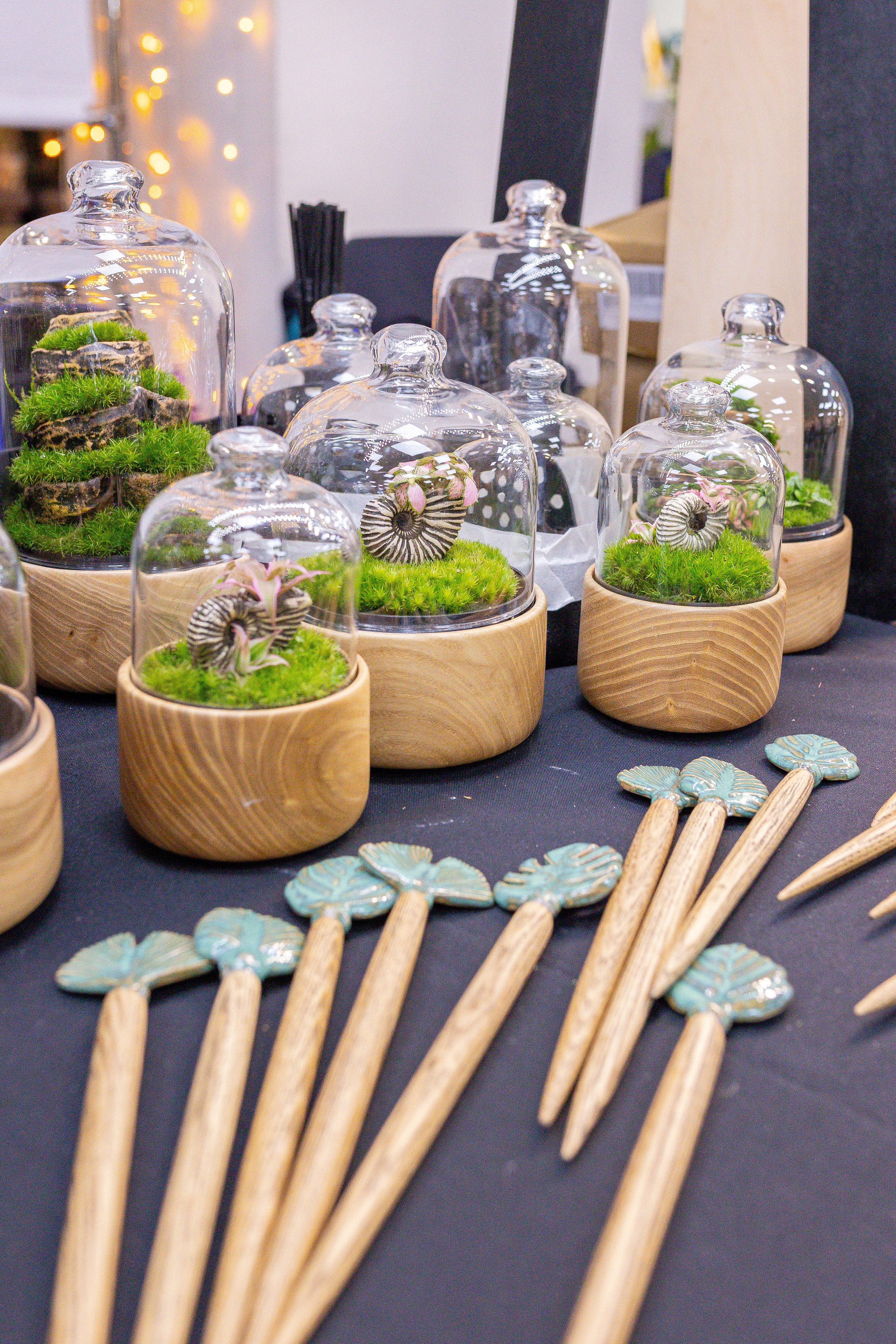 Орхидиум 12.2025. Александра Куликова фотограф, Москва