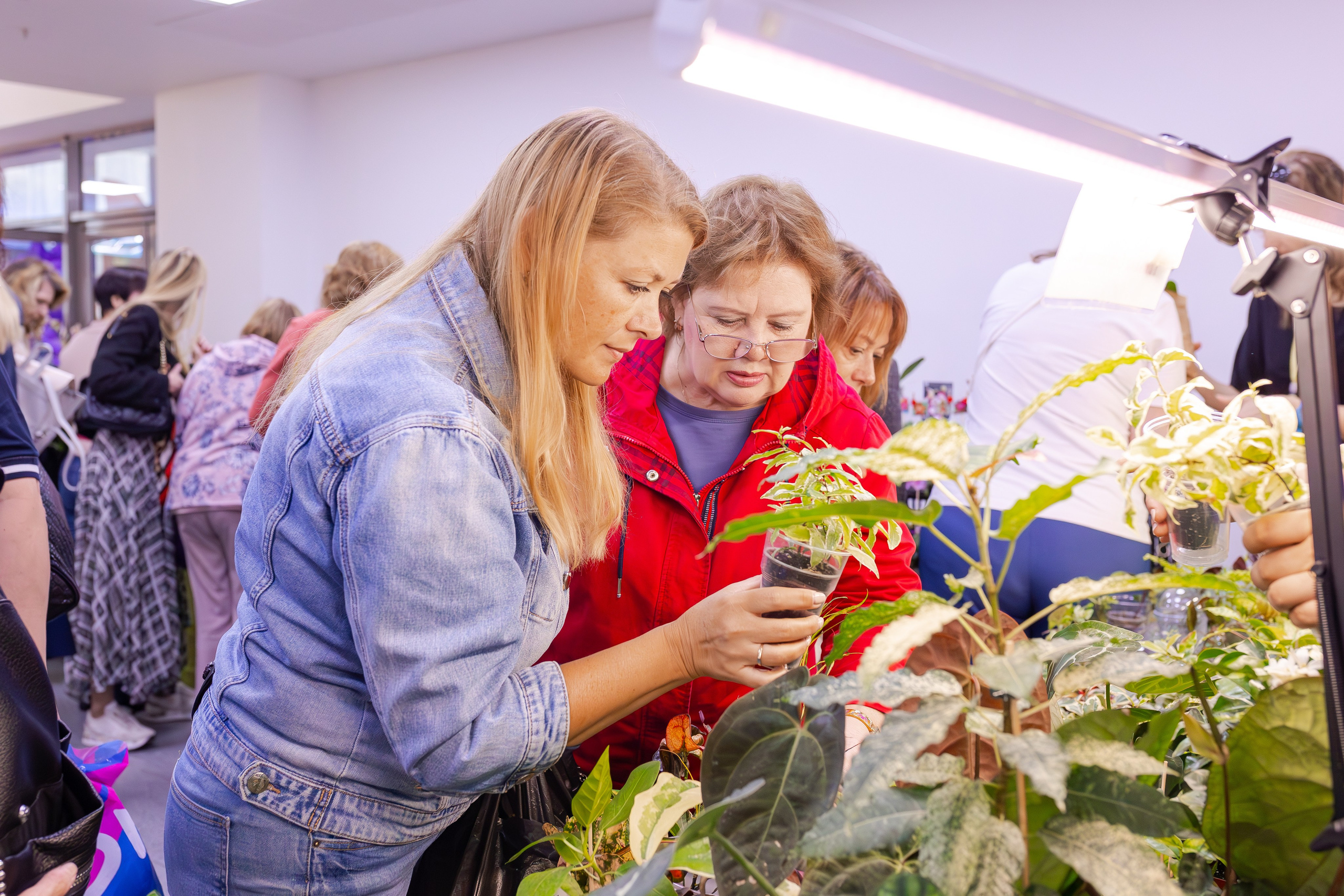 Орхидиум сентябрь 2025. Александра Куликова фотограф, Москва