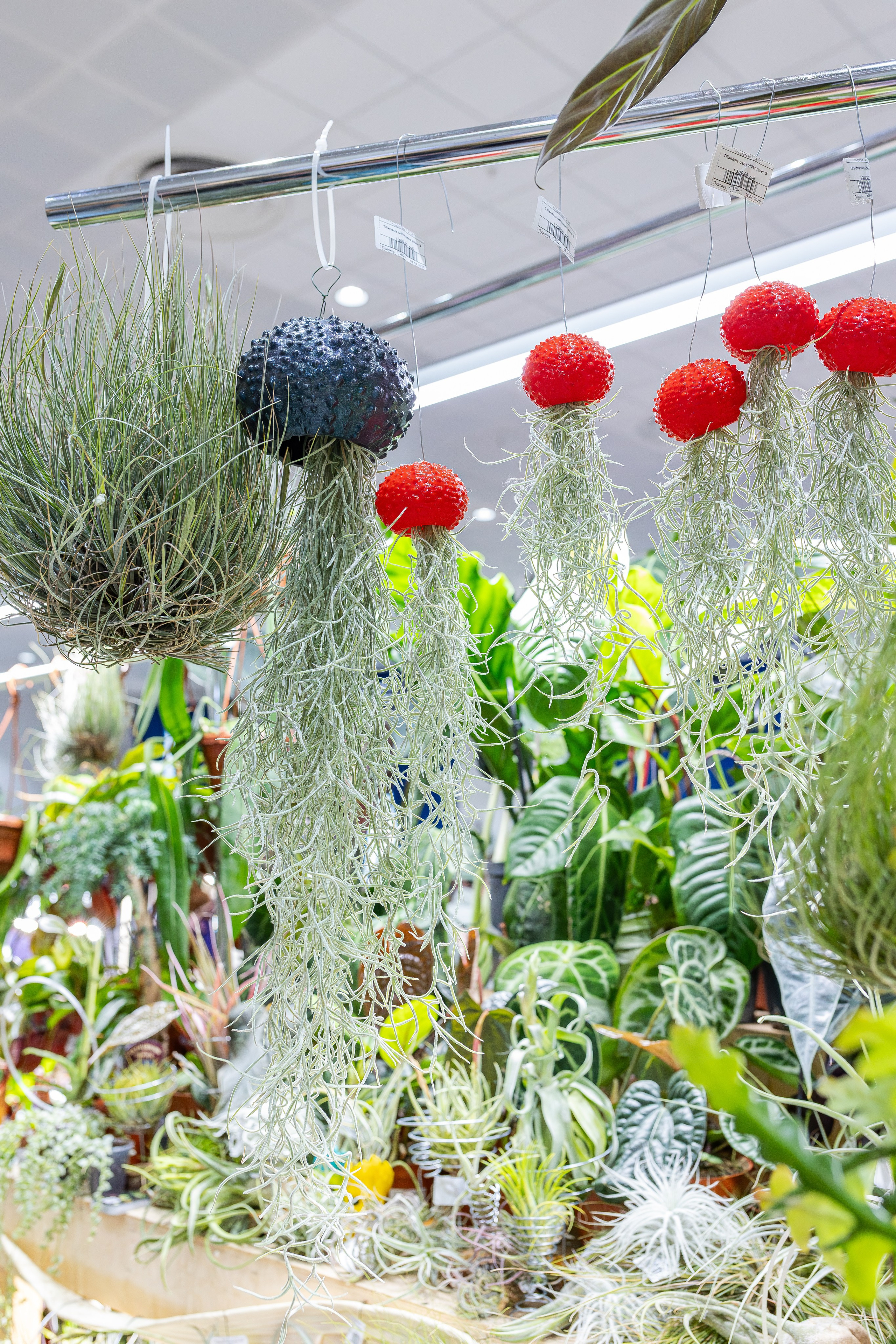 Монстериум апрель 2026. Александра Куликова фотограф, Москва