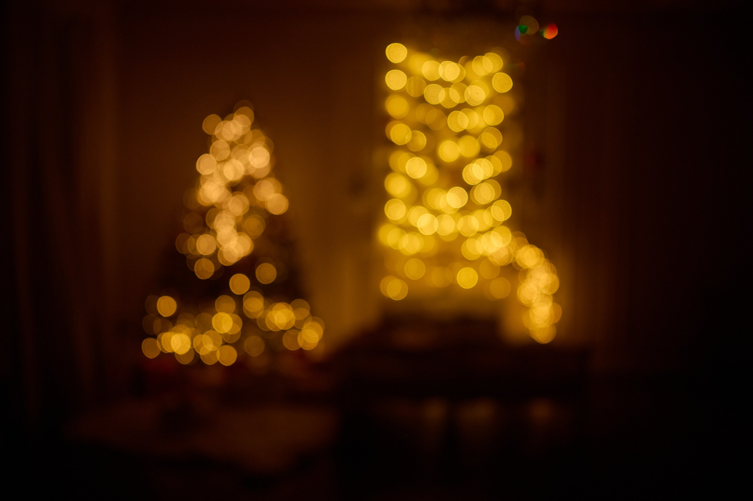 Фотостудия «Леона» зал Библиотека. Свадебный фотограф в Ростове Александра Груздева