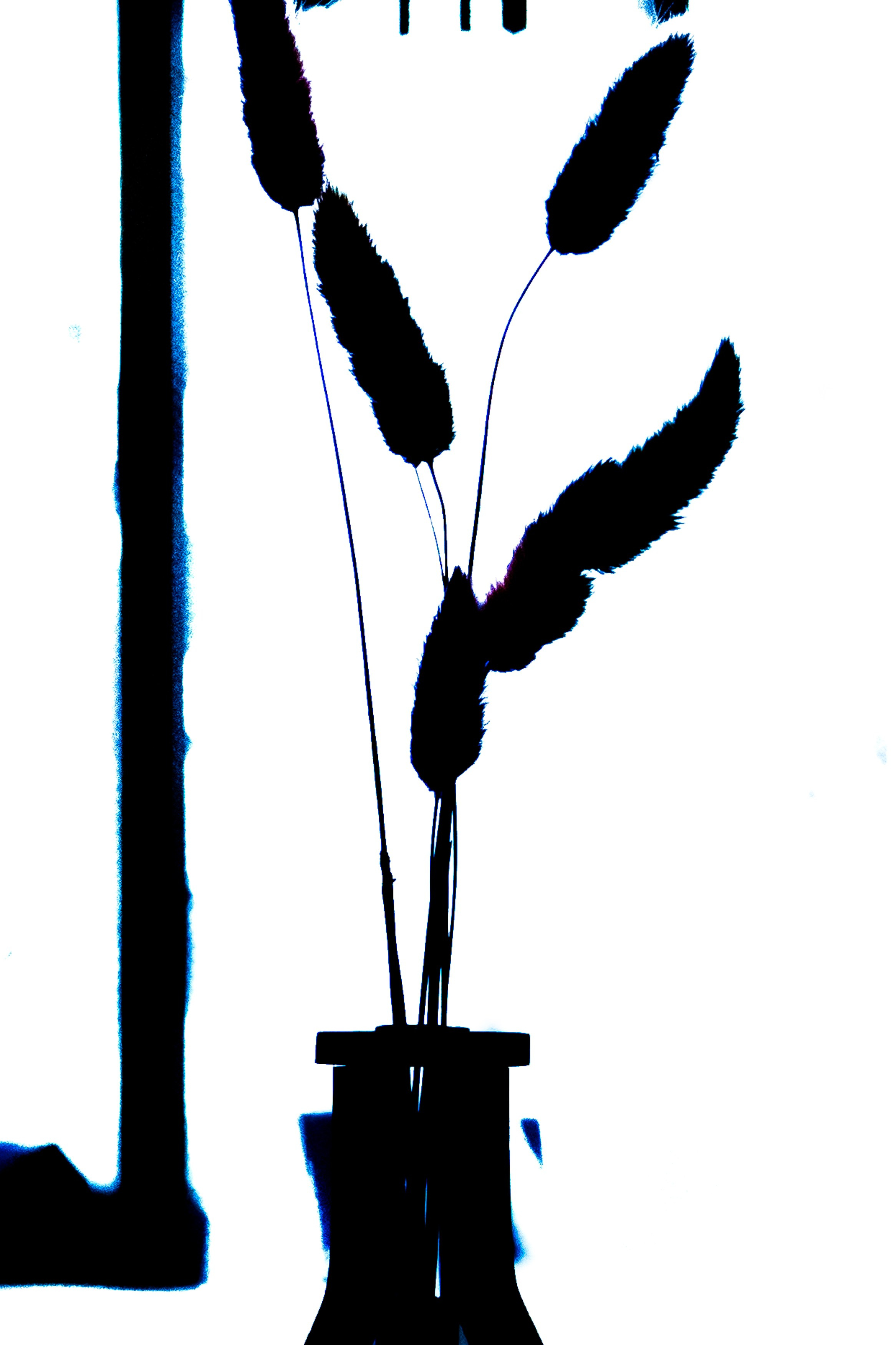 Детали. Свадебный Фотограф в Иркутске Екатерина Елисеева