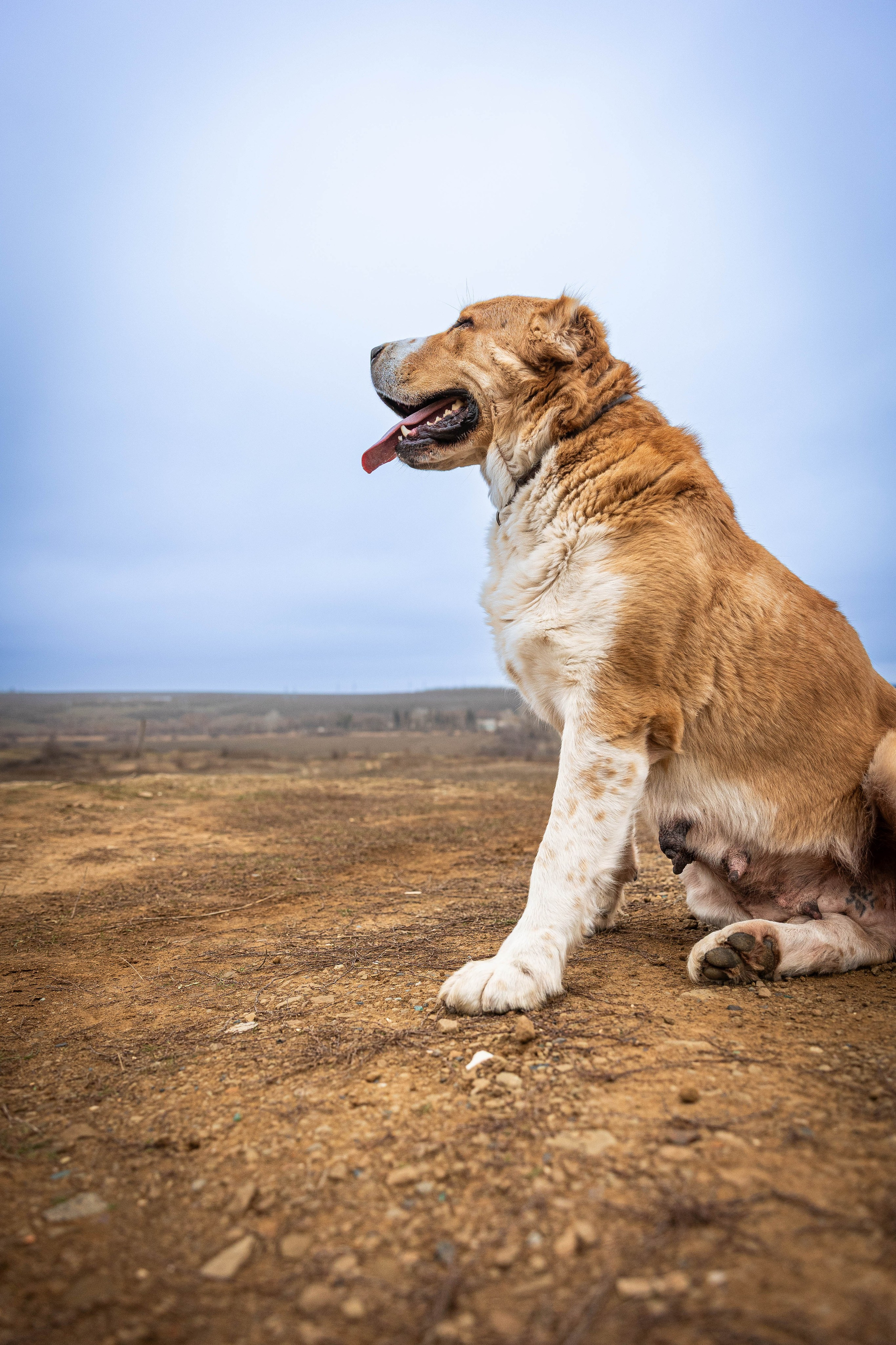 Пальма. Фотограф-АниМалист Анна Абрамова
