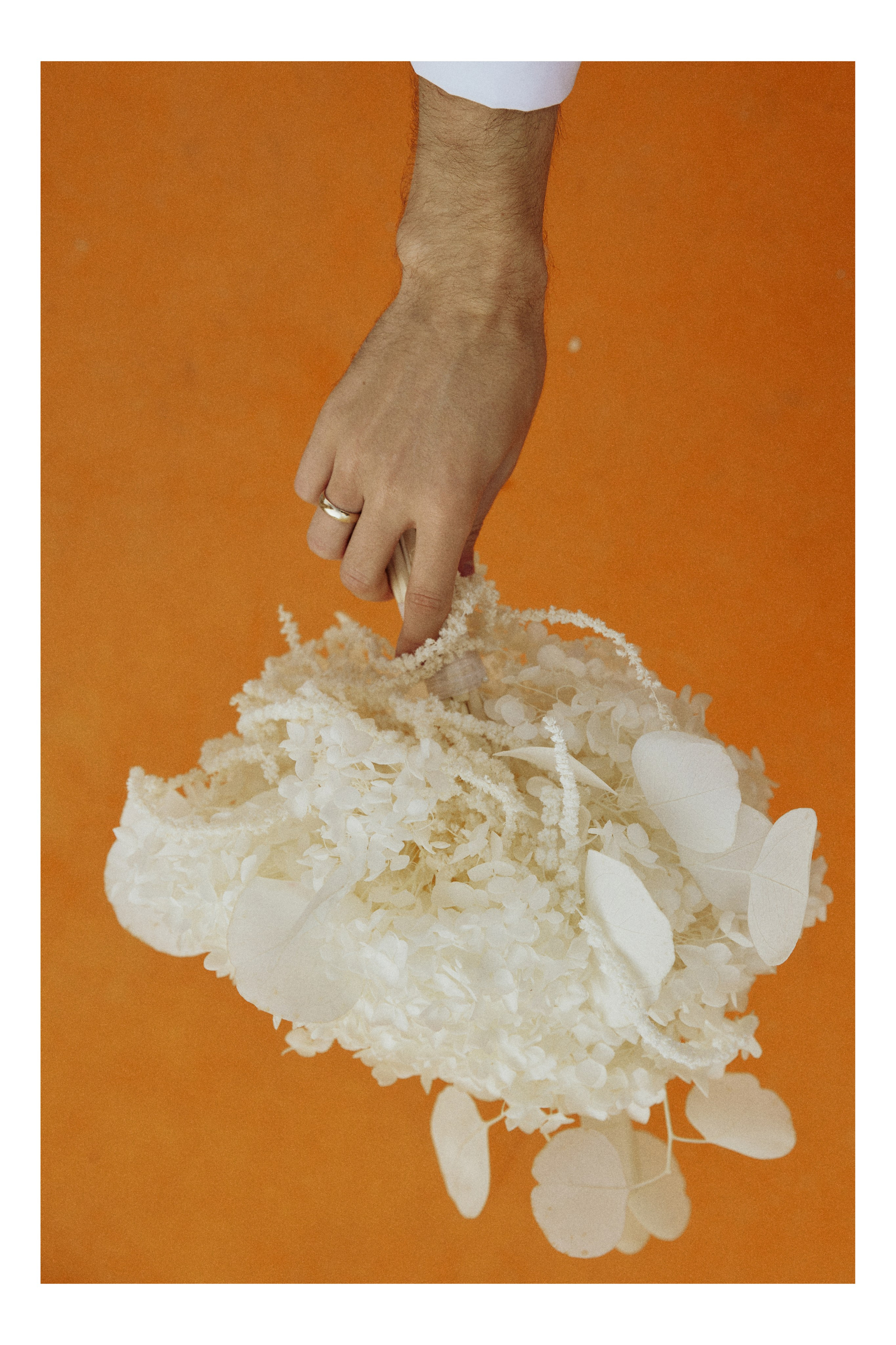 AMORE DA CINEMA. Дмитрий Мазуркевич: Профессиональный Репортажный Фотограф