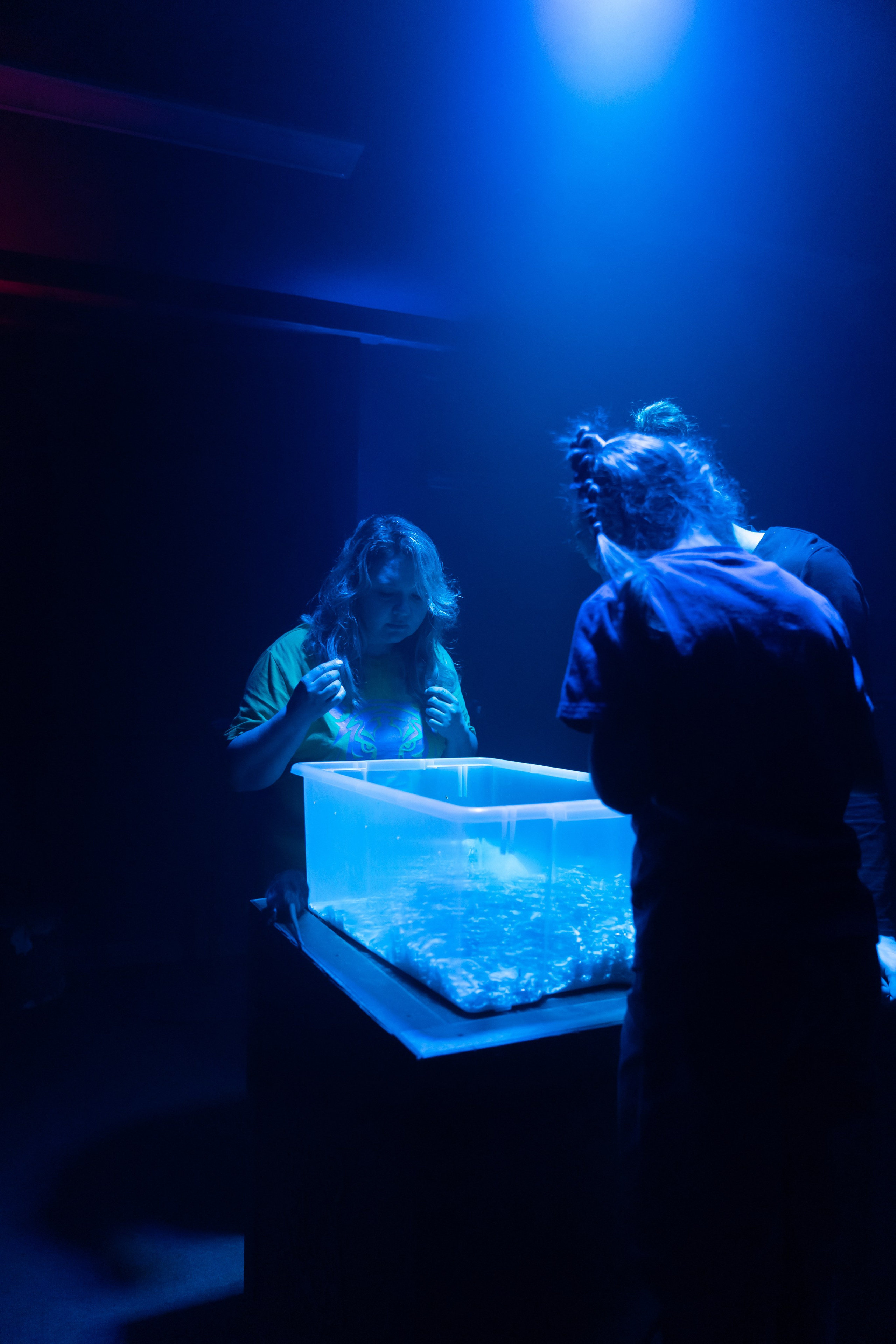 Детский ДР. Семейный и детский фотограф в Сергиев Посаде, Хотьково Якимчук Любовь