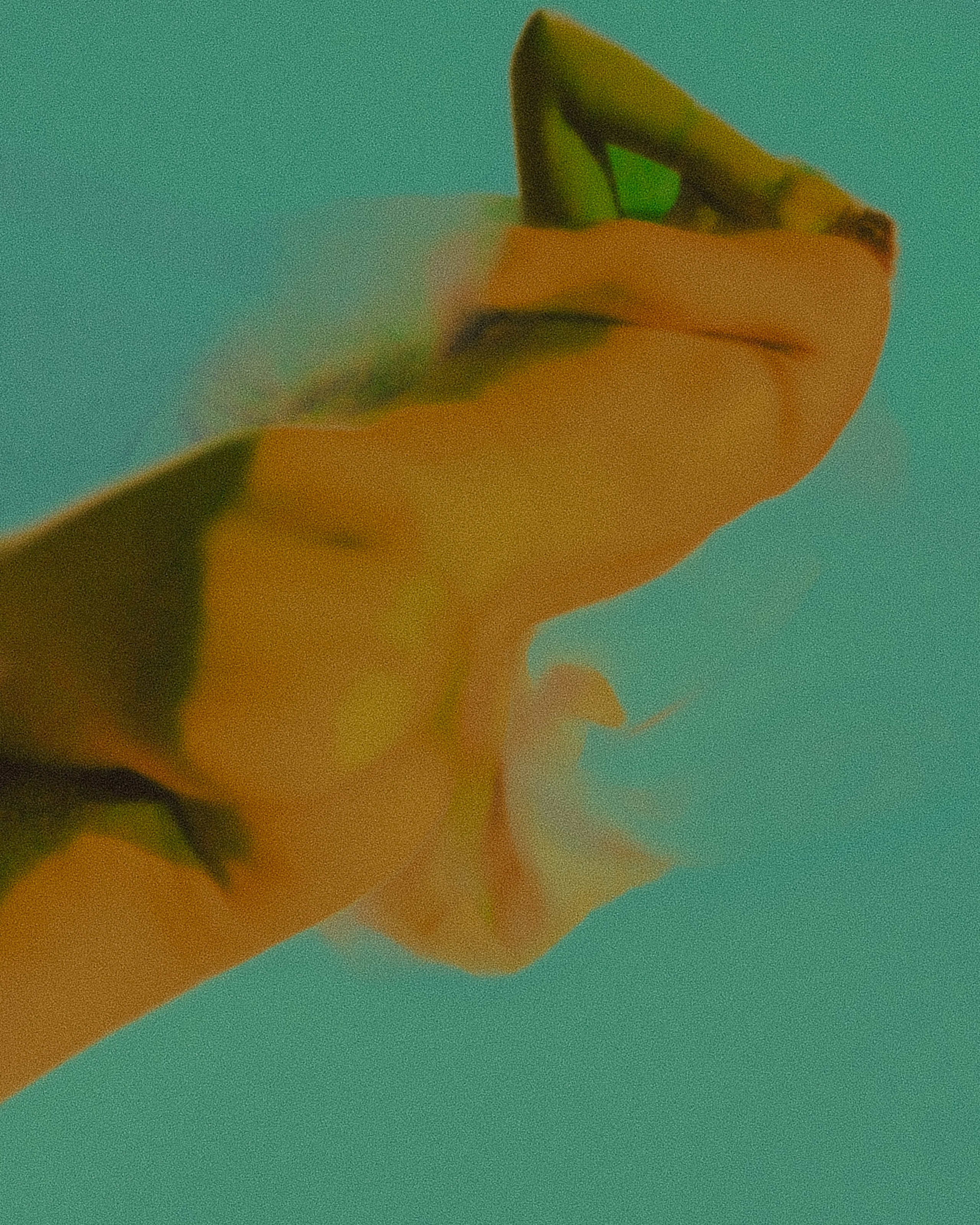 #002. Иван Благушин. Интерьерный и архитектурный фотограф в Москве и Санкт-Петербурге