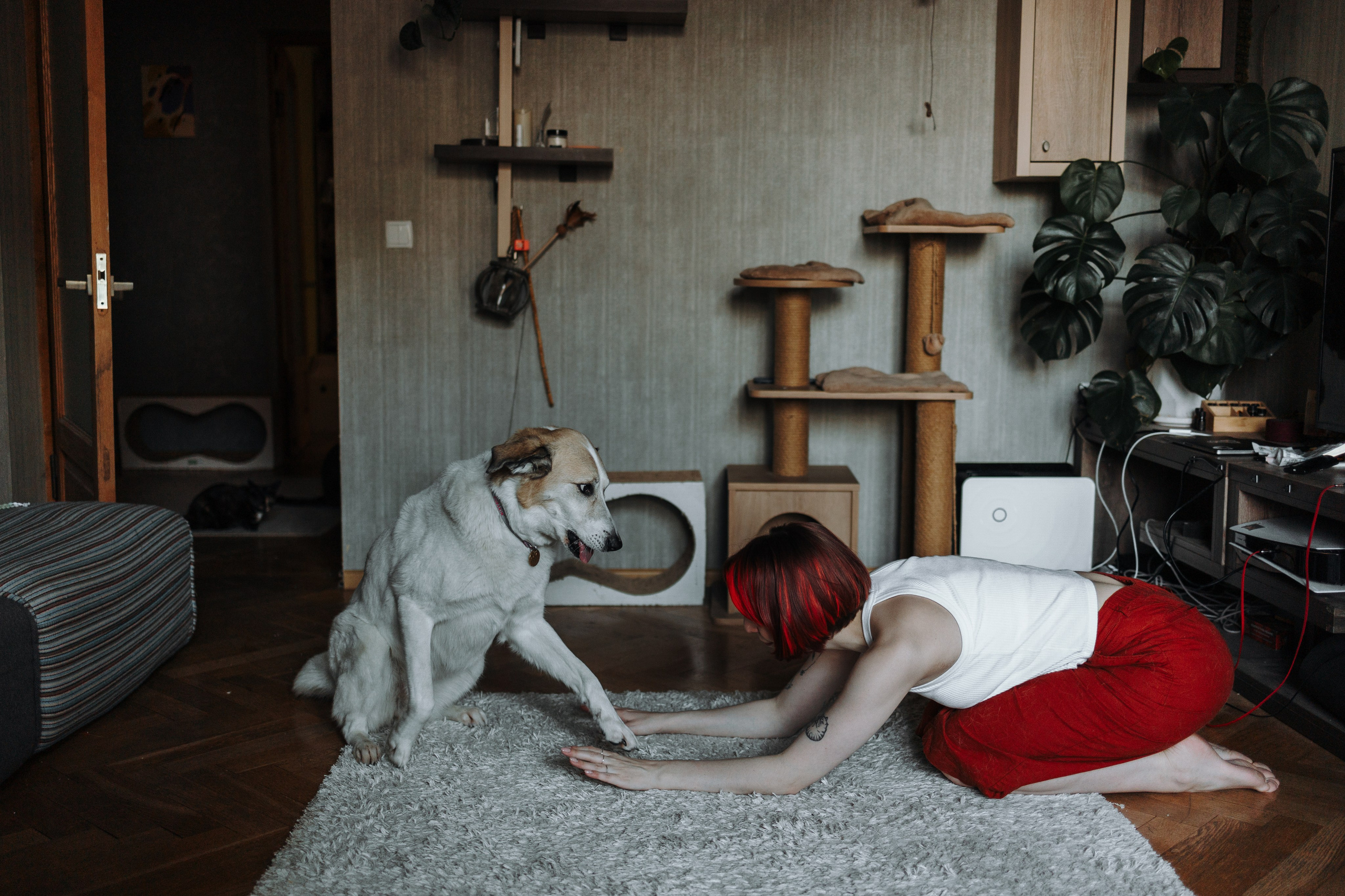 Саша и ее хвосты. Фотограф — Анималист | Санкт-Петербург