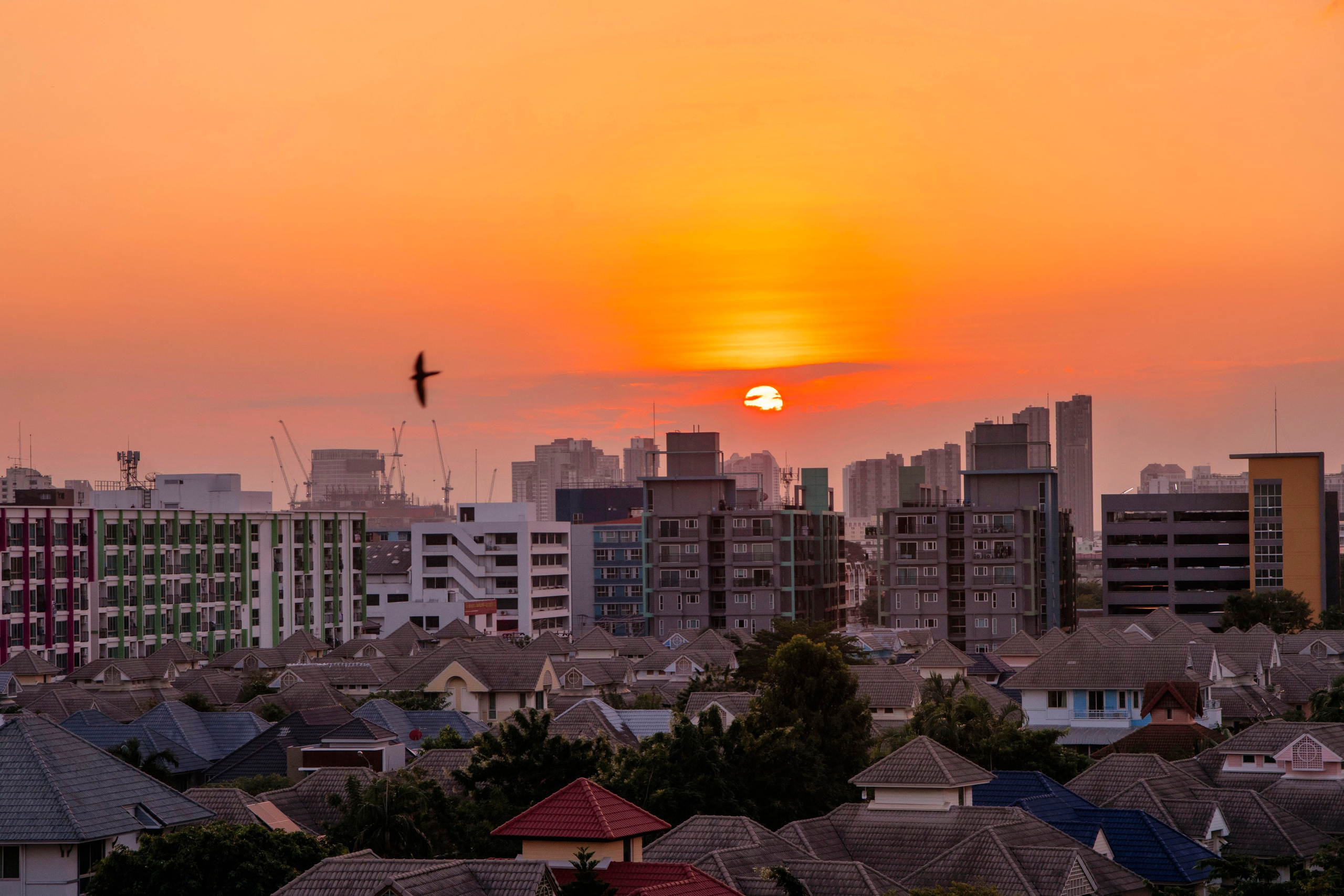 Бангкок стрит фото. Iraogo