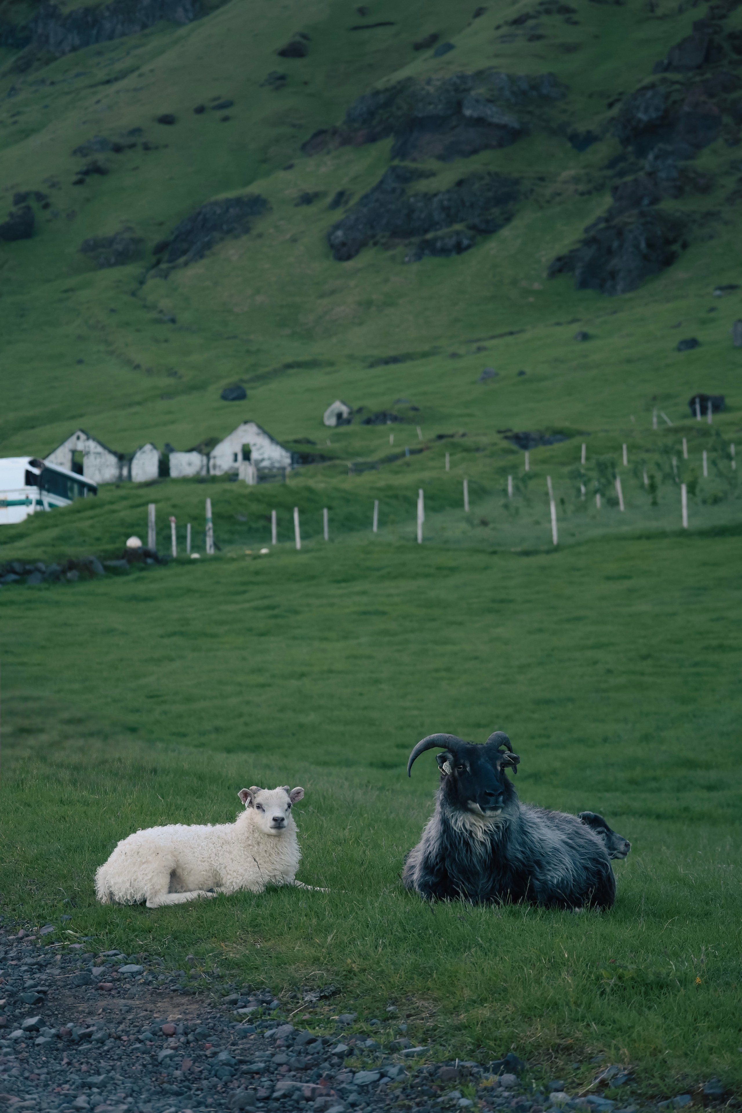 Iceland. Photographer