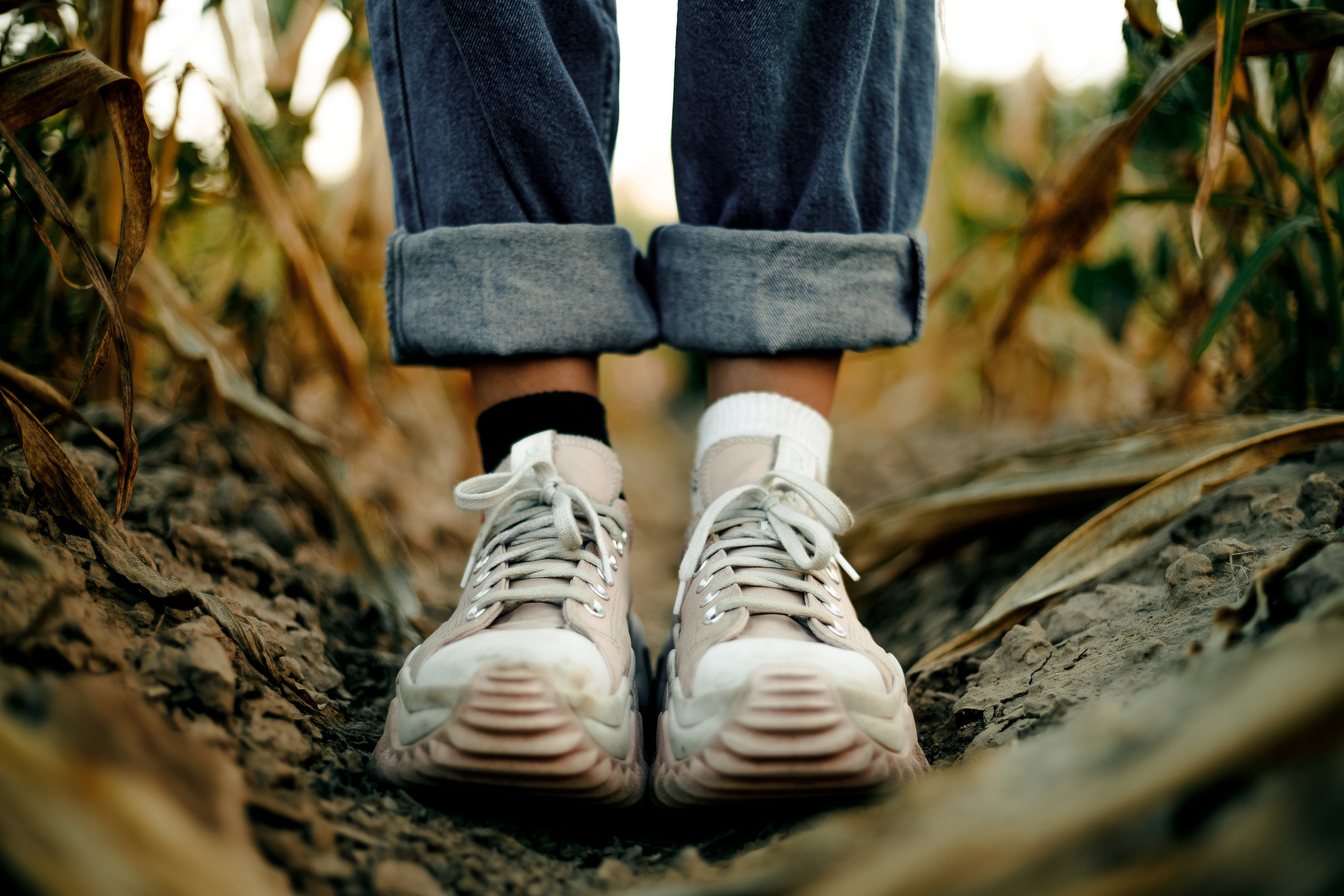 Виктория и кукурузное поле