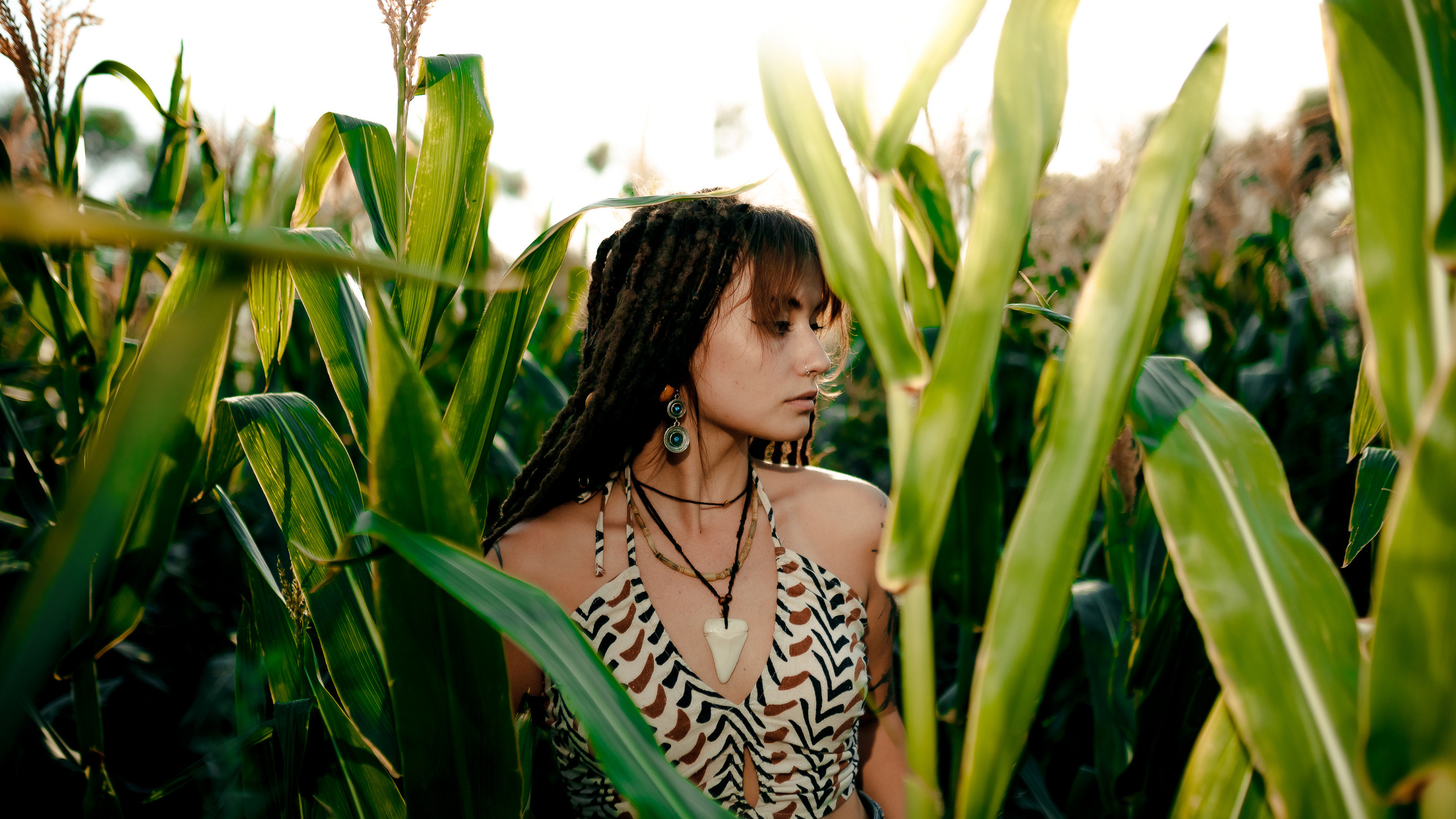 Виктория и кукурузное поле