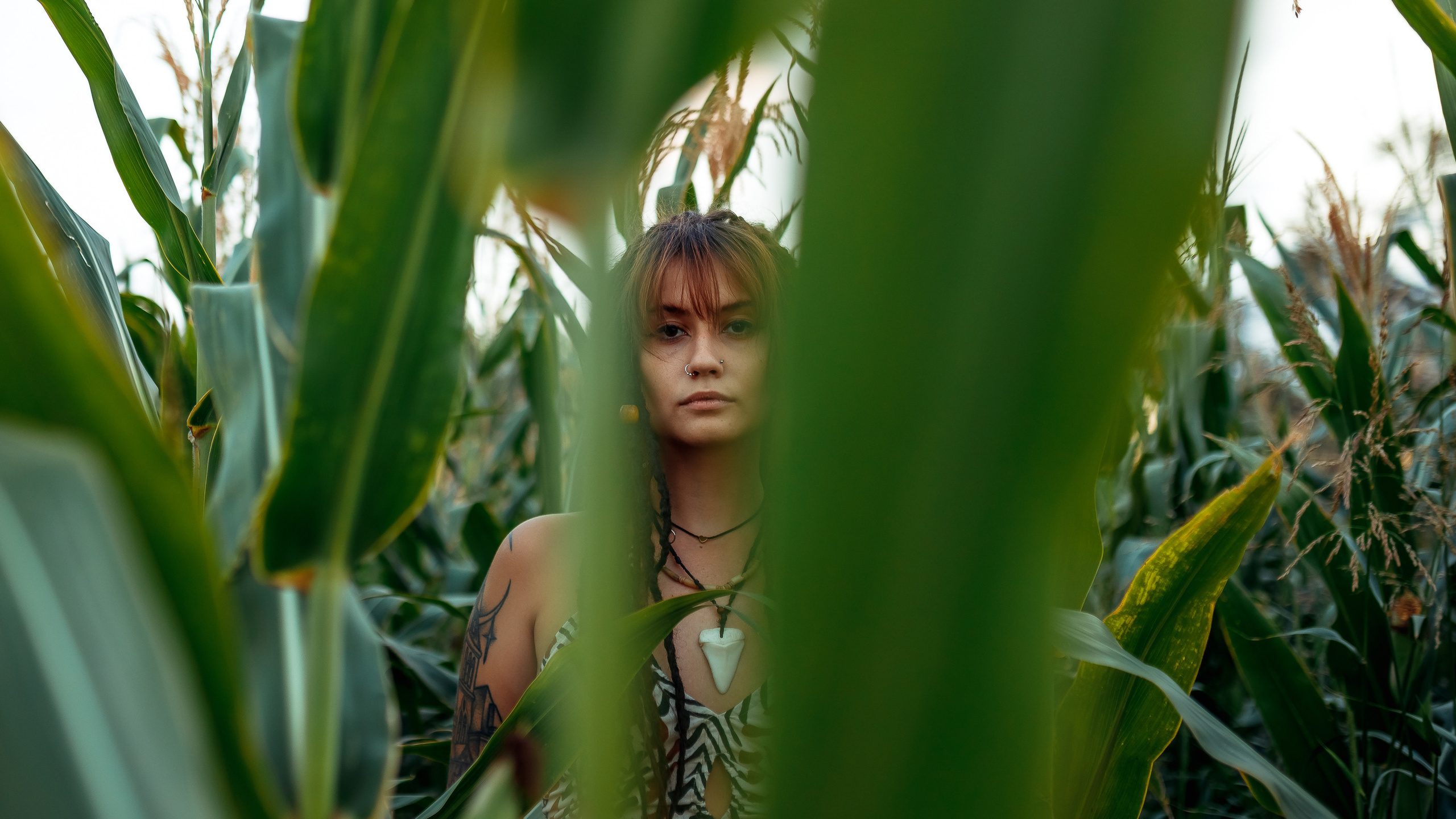 Виктория и кукурузное поле