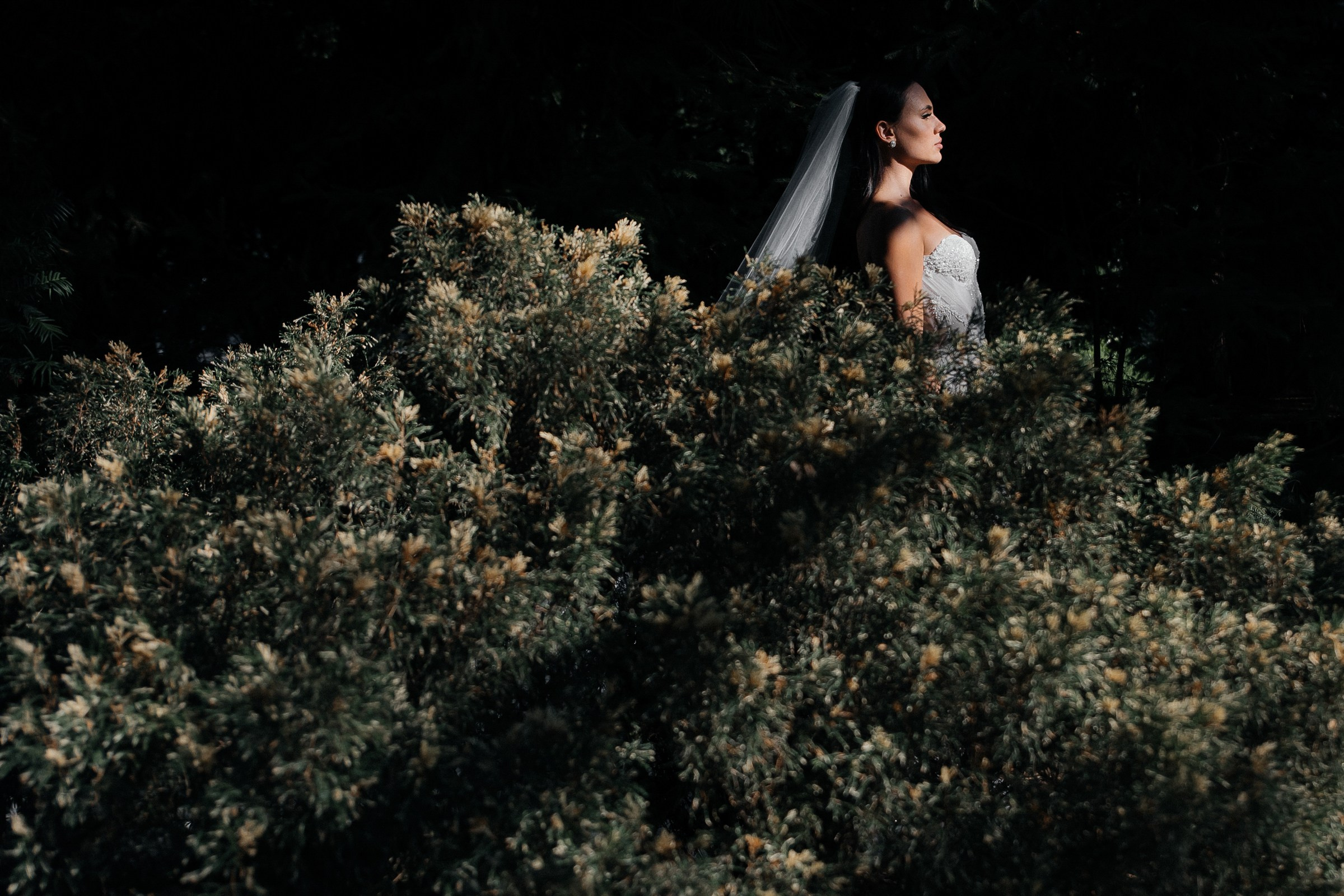 Александр и Яна (31.08.23). Свадебный фотограф в Ростове-на-Дону