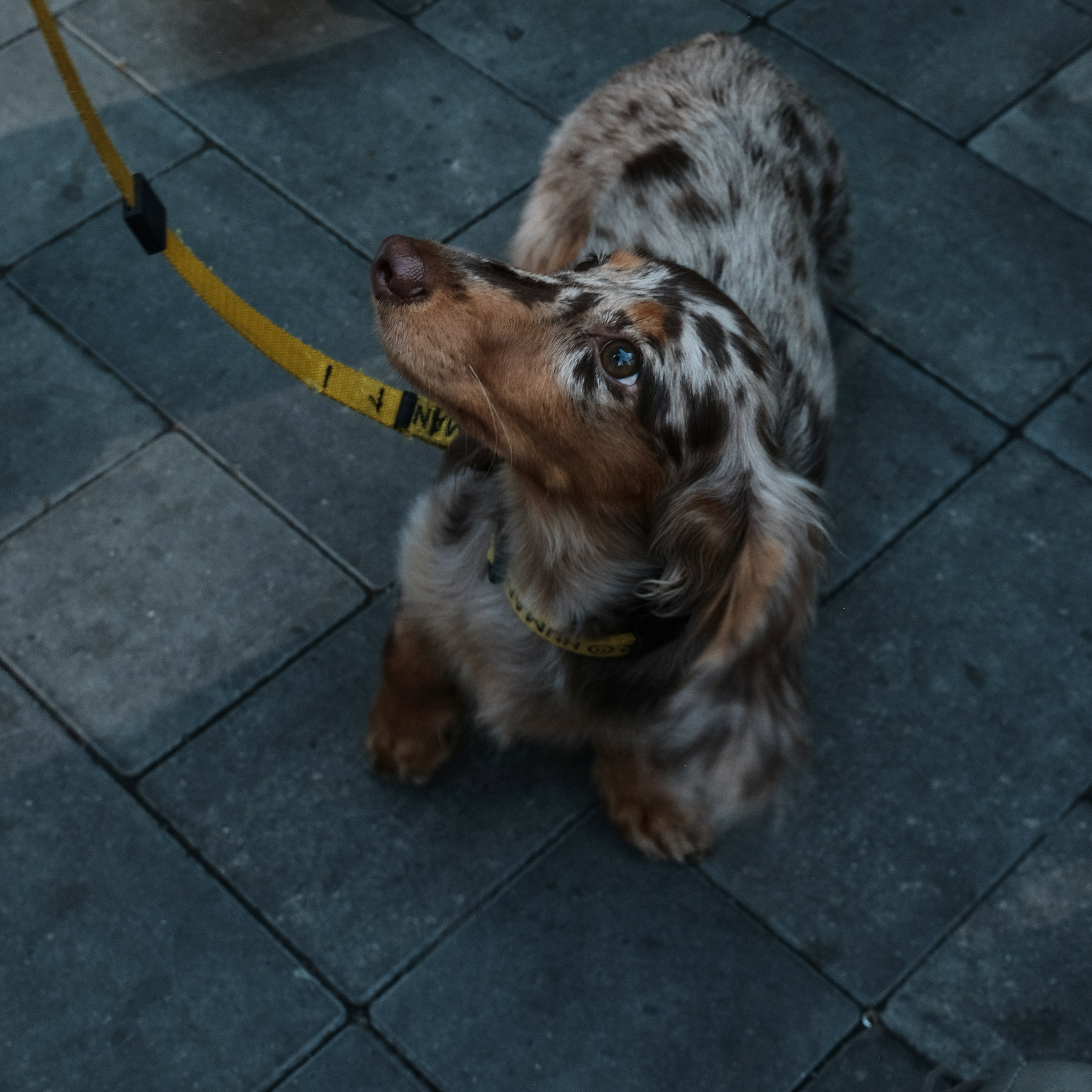 Rostov-on-Don. Creative travel photographer — Berg Daria