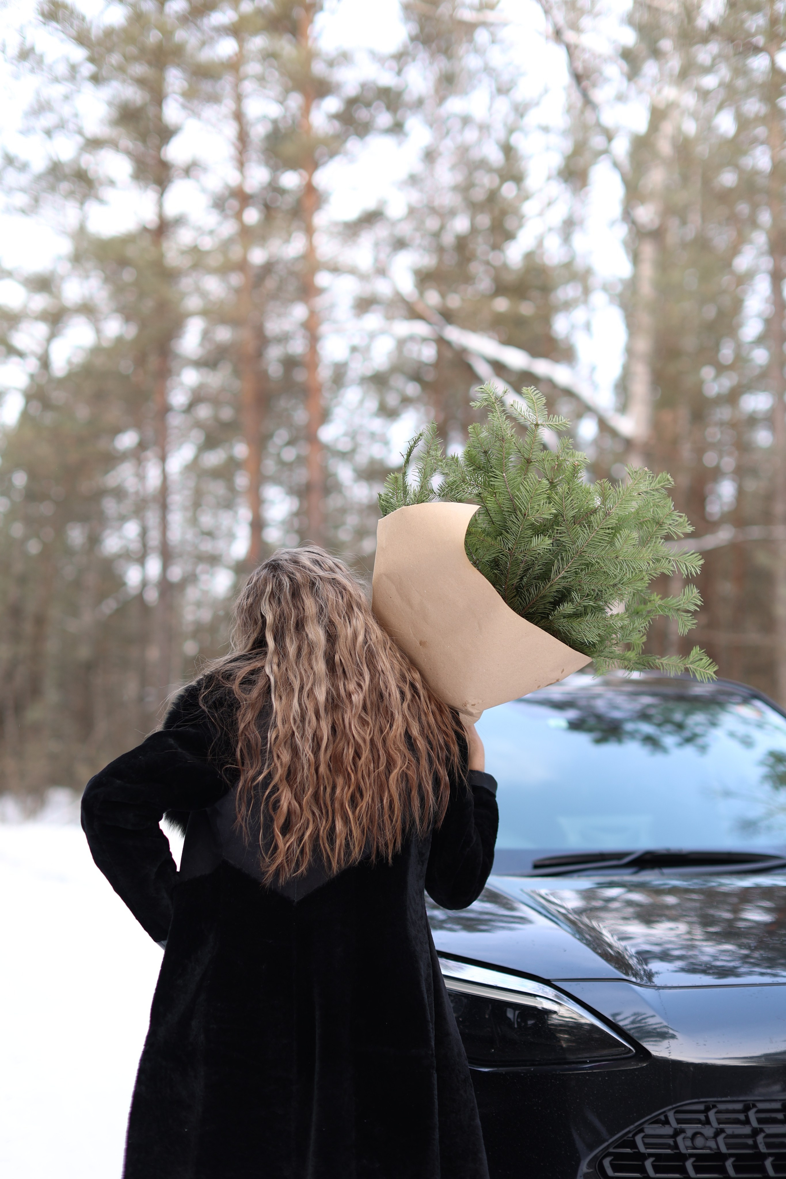 Зима. Art my Pho