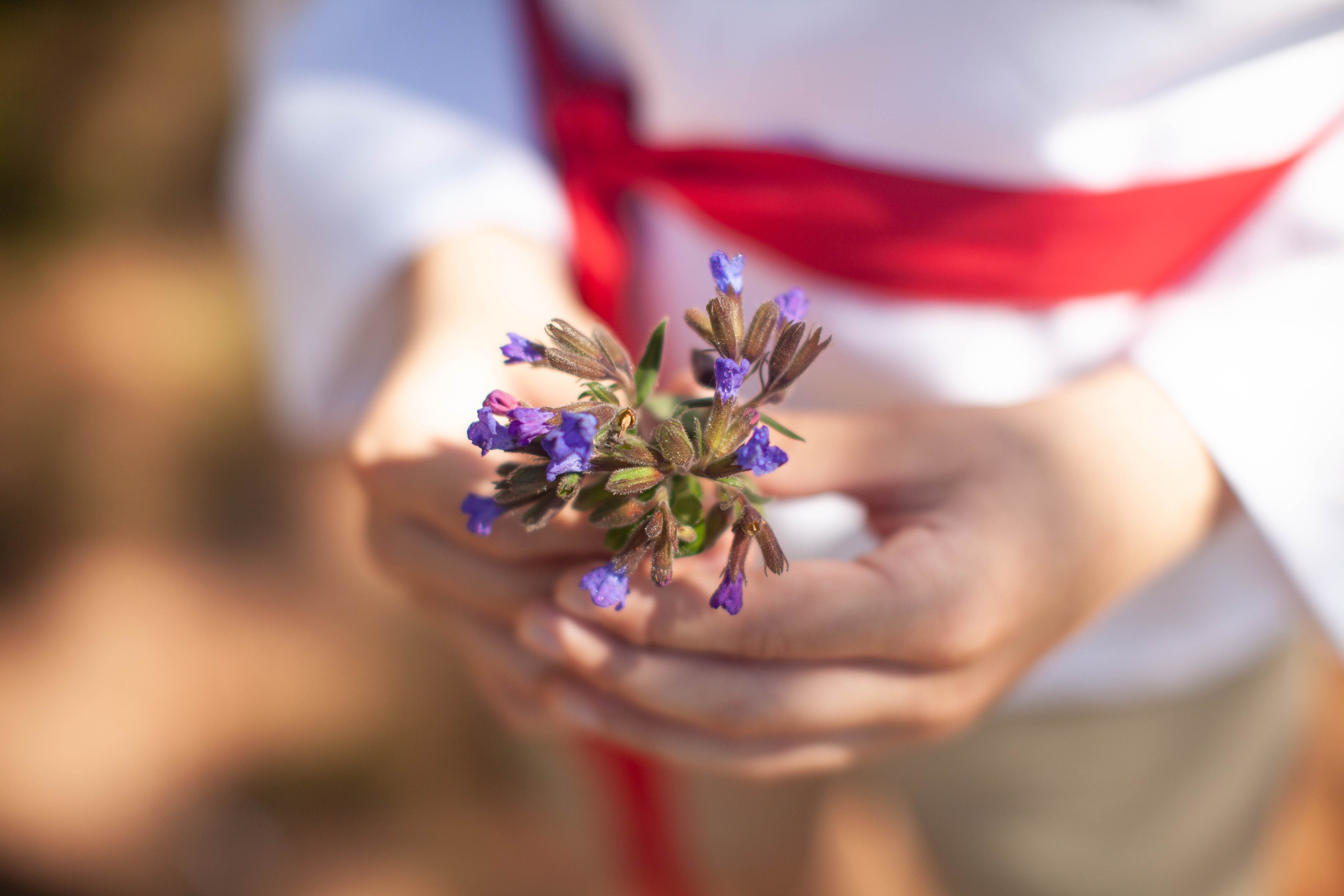 Летний день. Art my Pho