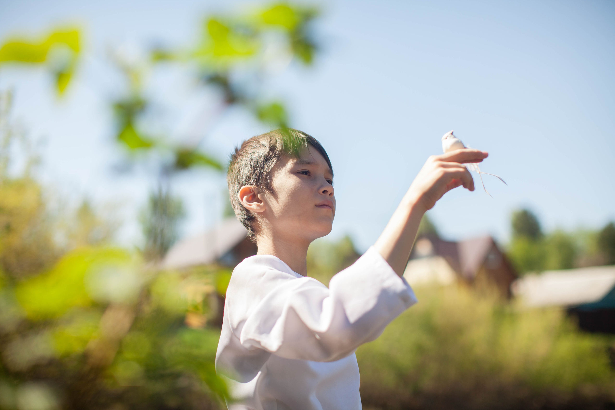 Летний день. Art my Pho