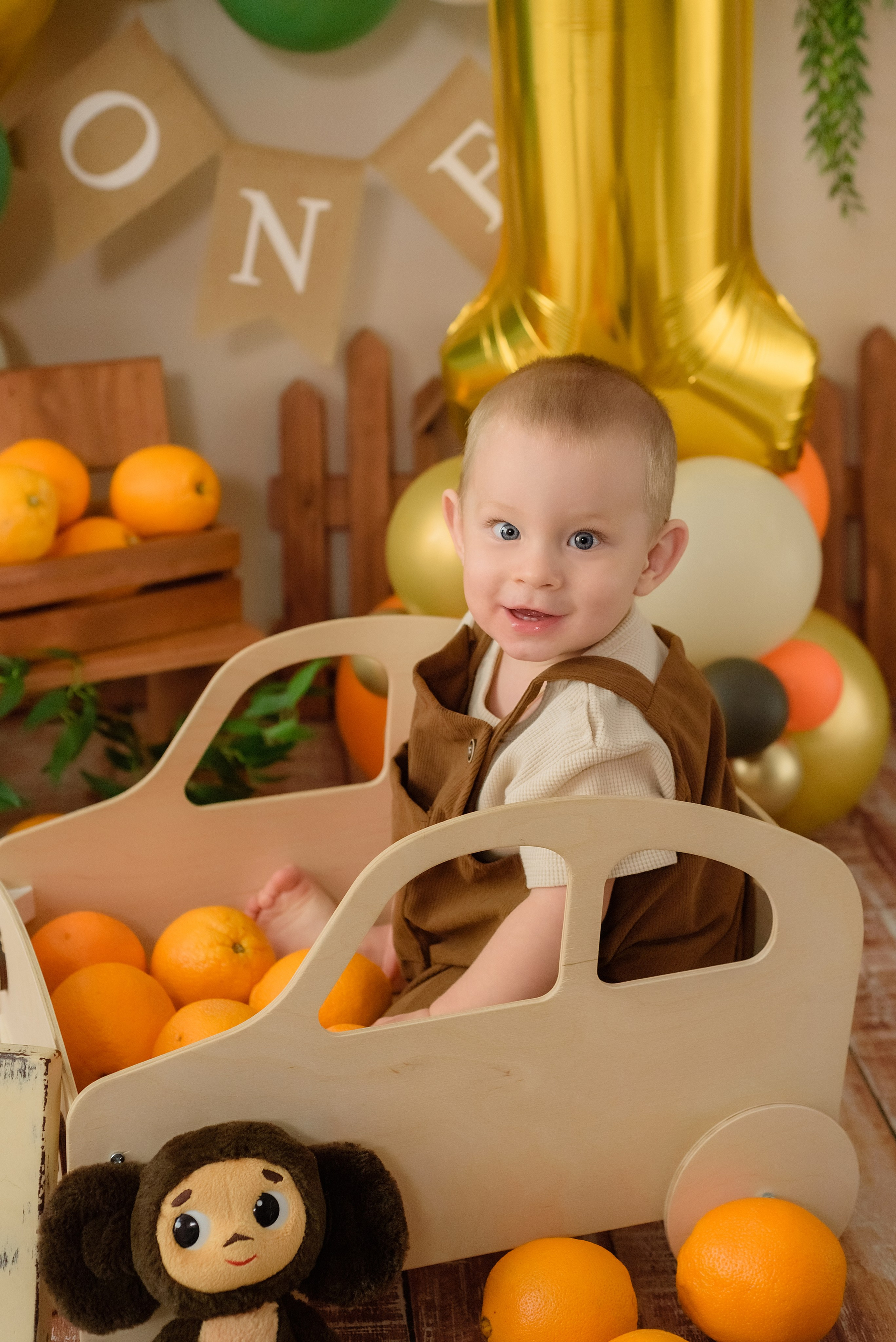 «Чебурашка» 1 годик. Детский Фотограф |Фотограф на годик в Брянске Ирина Романова
