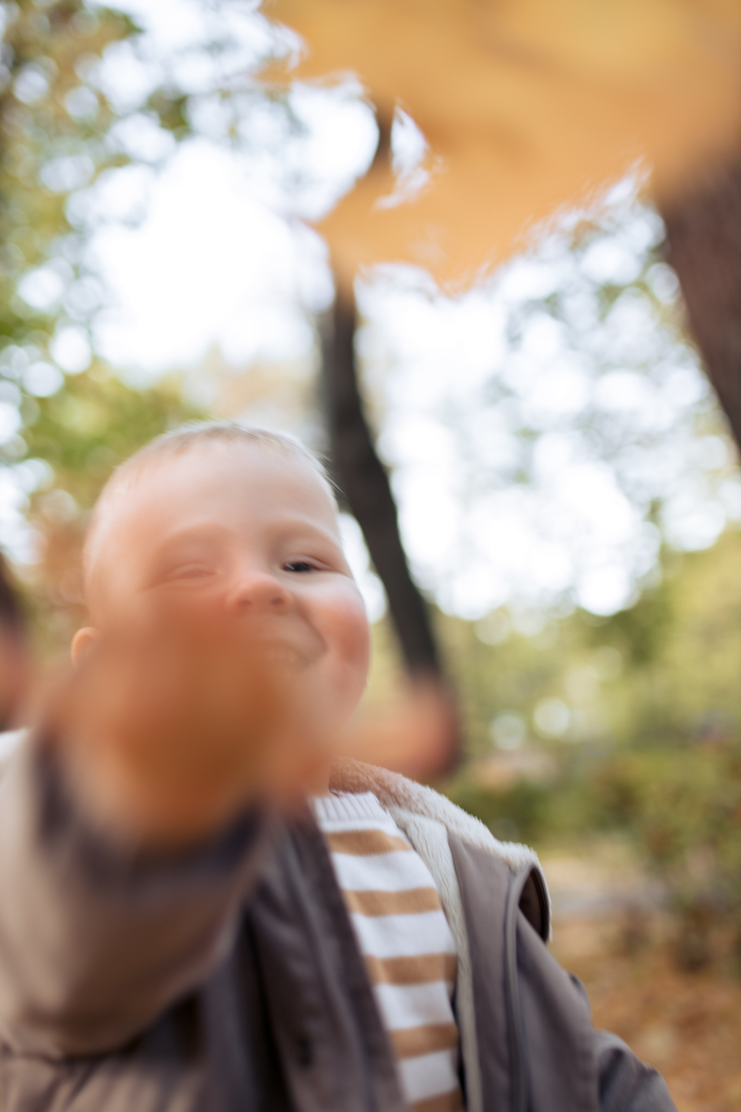 Семейная фотосессия в парке, прогулка по парку. Фотограф Валерия Горбунова Подольск Бутово Видное Щербинка
