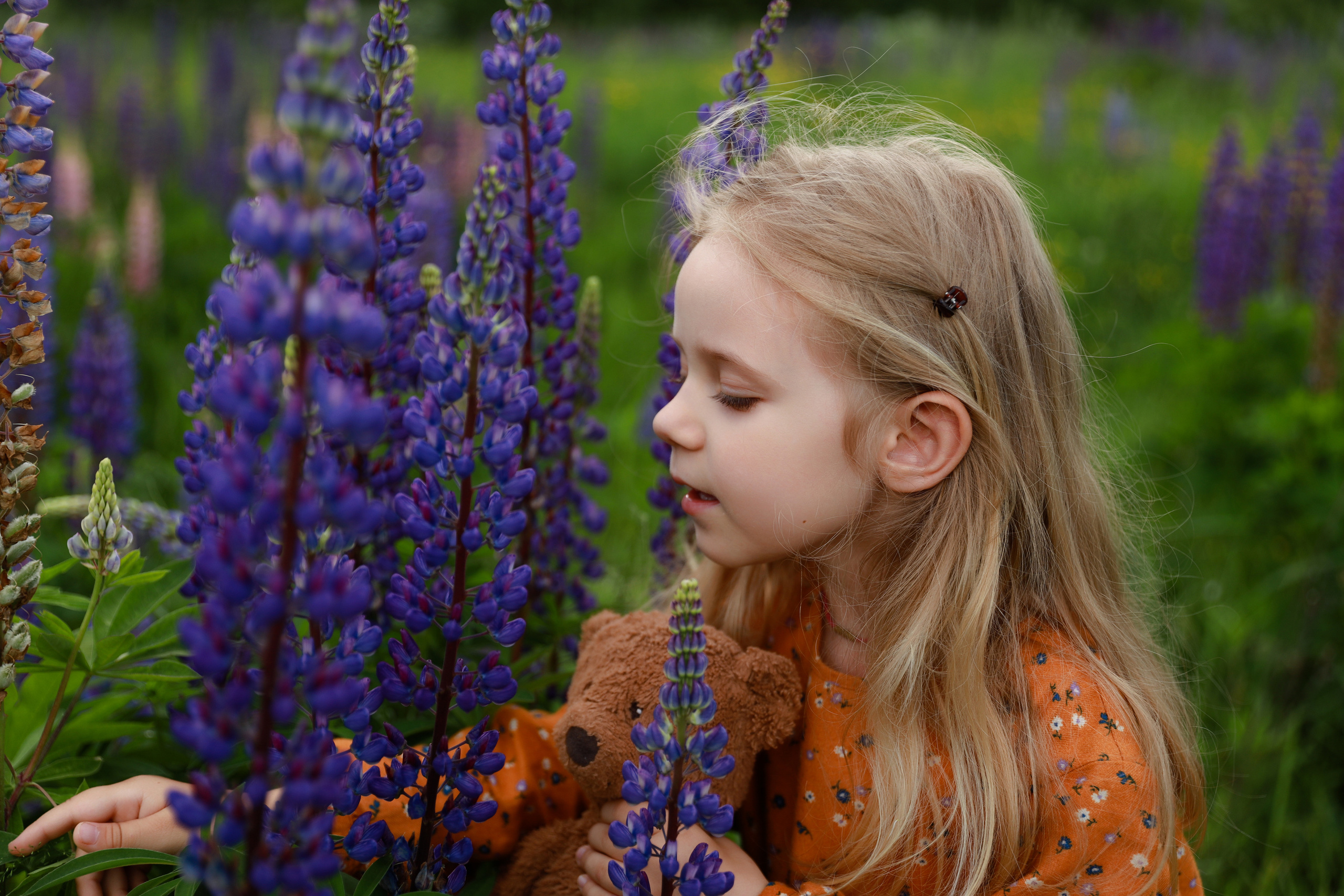 Фотосессия в люпинах. Бочарова Мария — школьный фотограф Апрелевка, Новая Москва, Московская область