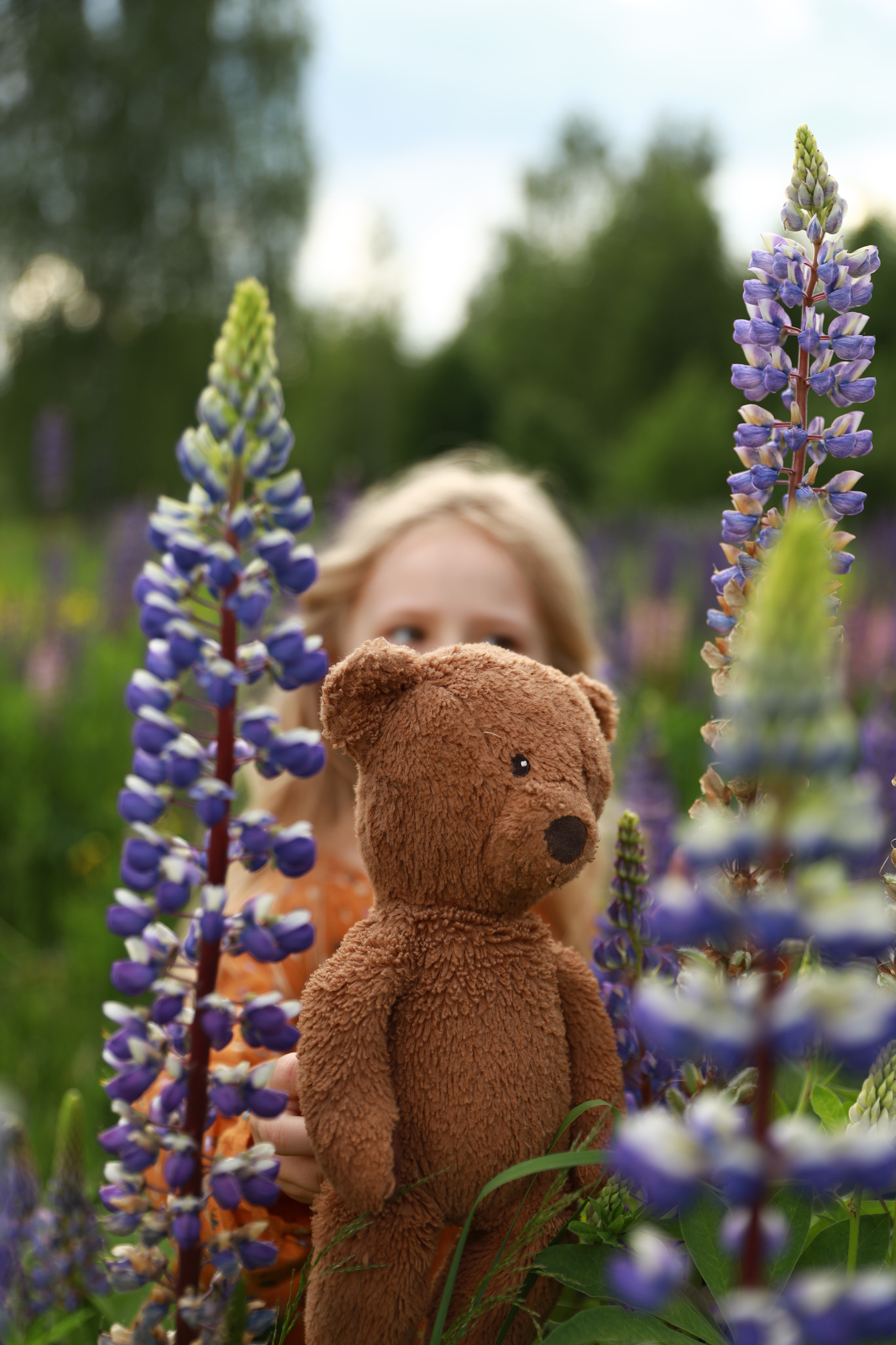 Фотосессия в люпинах. Бочарова Мария — школьный фотограф Апрелевка, Новая Москва, Московская область