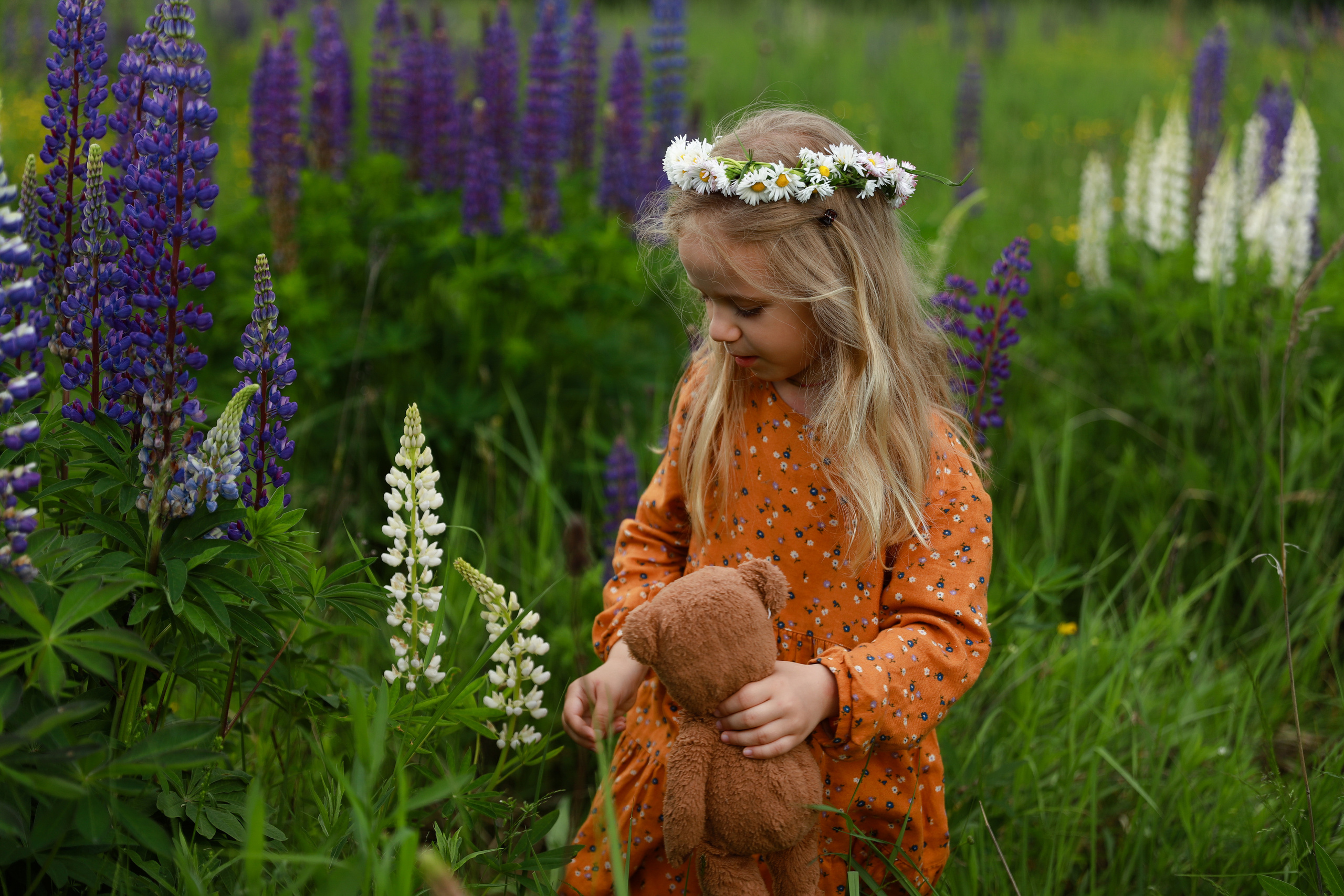 Фотосессия в люпинах. Бочарова Мария — школьный фотограф Апрелевка, Новая Москва, Московская область