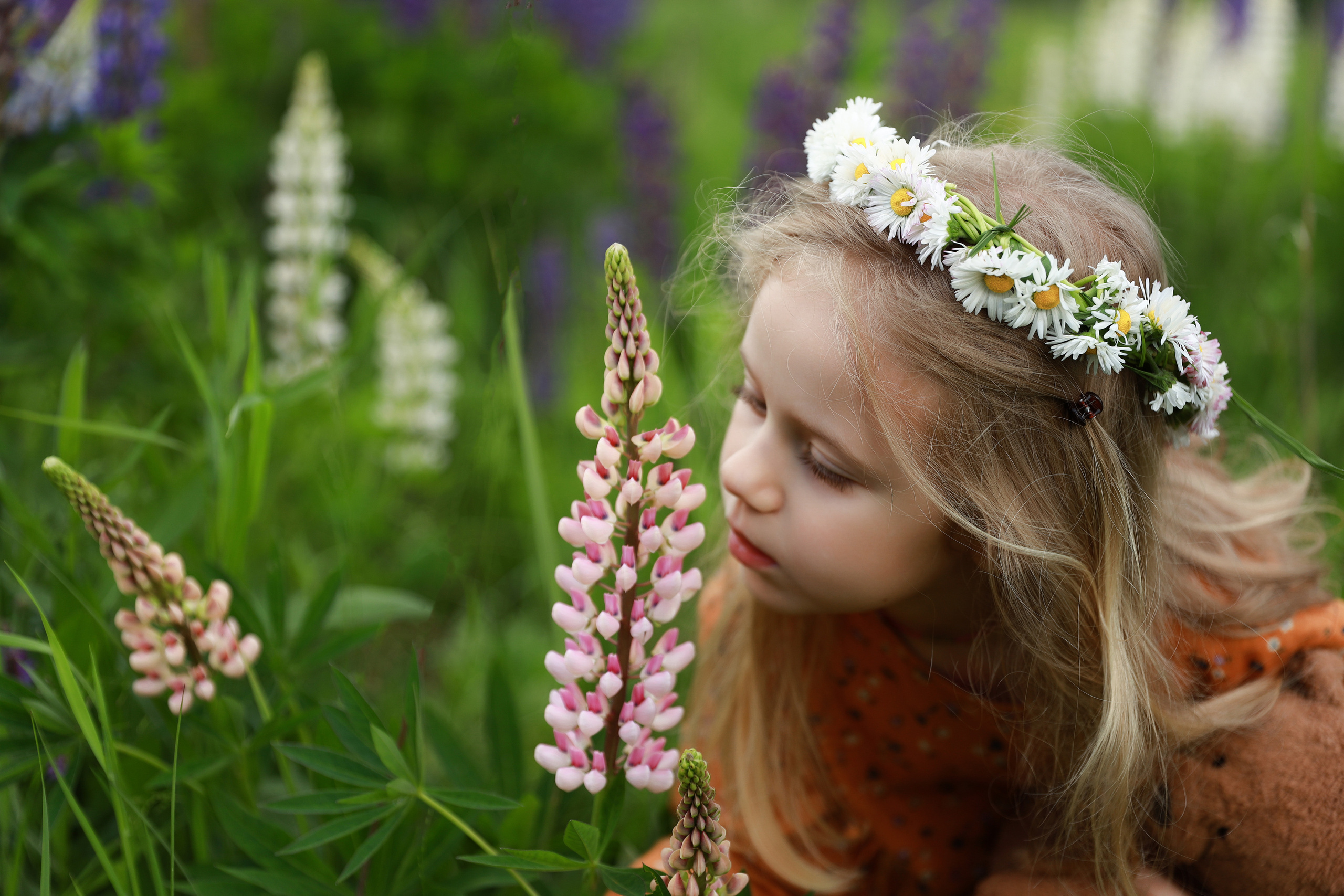 Фотосессия в люпинах. Бочарова Мария — школьный фотограф Апрелевка, Новая Москва, Московская область