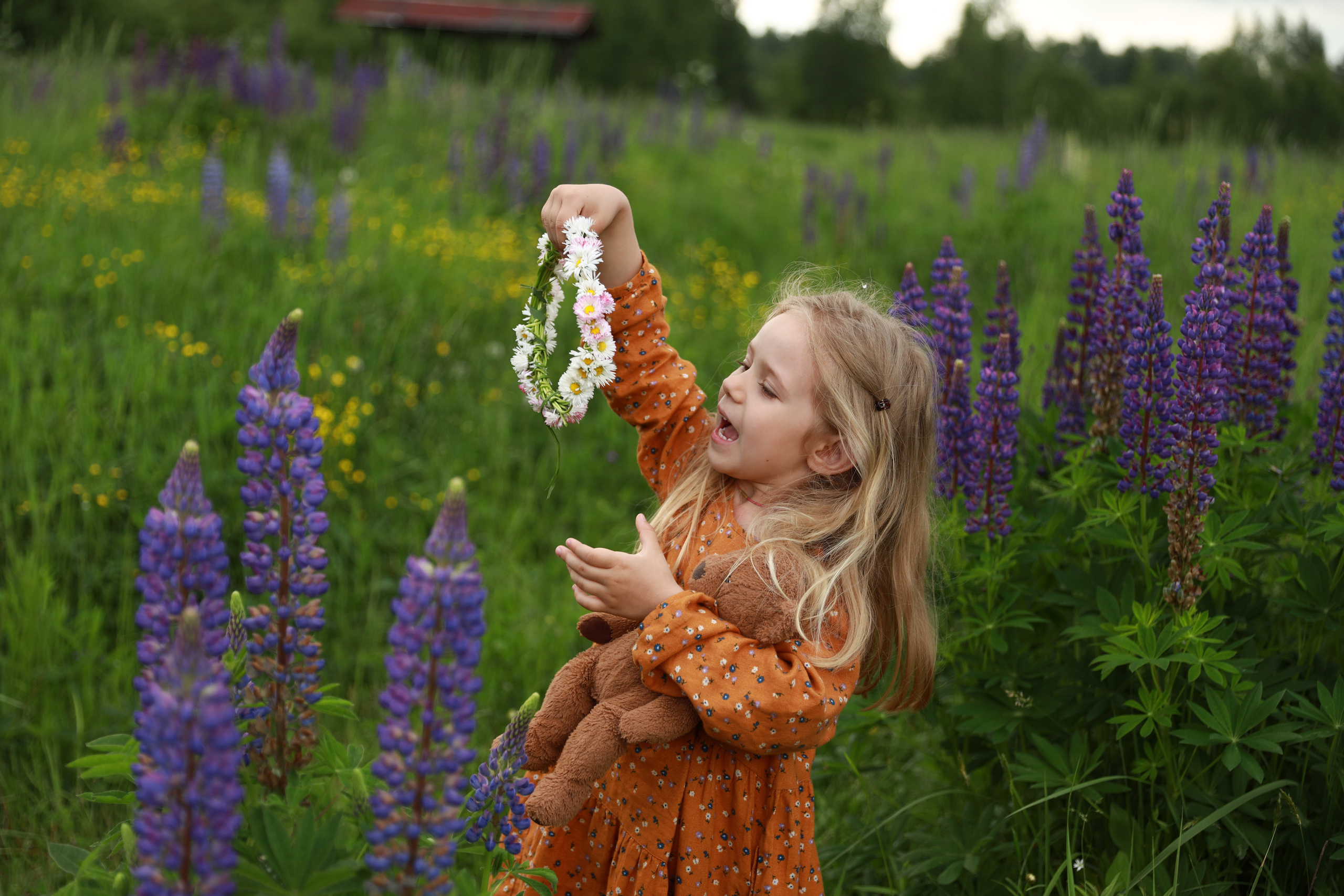 Фотосессия в люпинах. Бочарова Мария — школьный фотограф Апрелевка, Новая Москва, Московская область