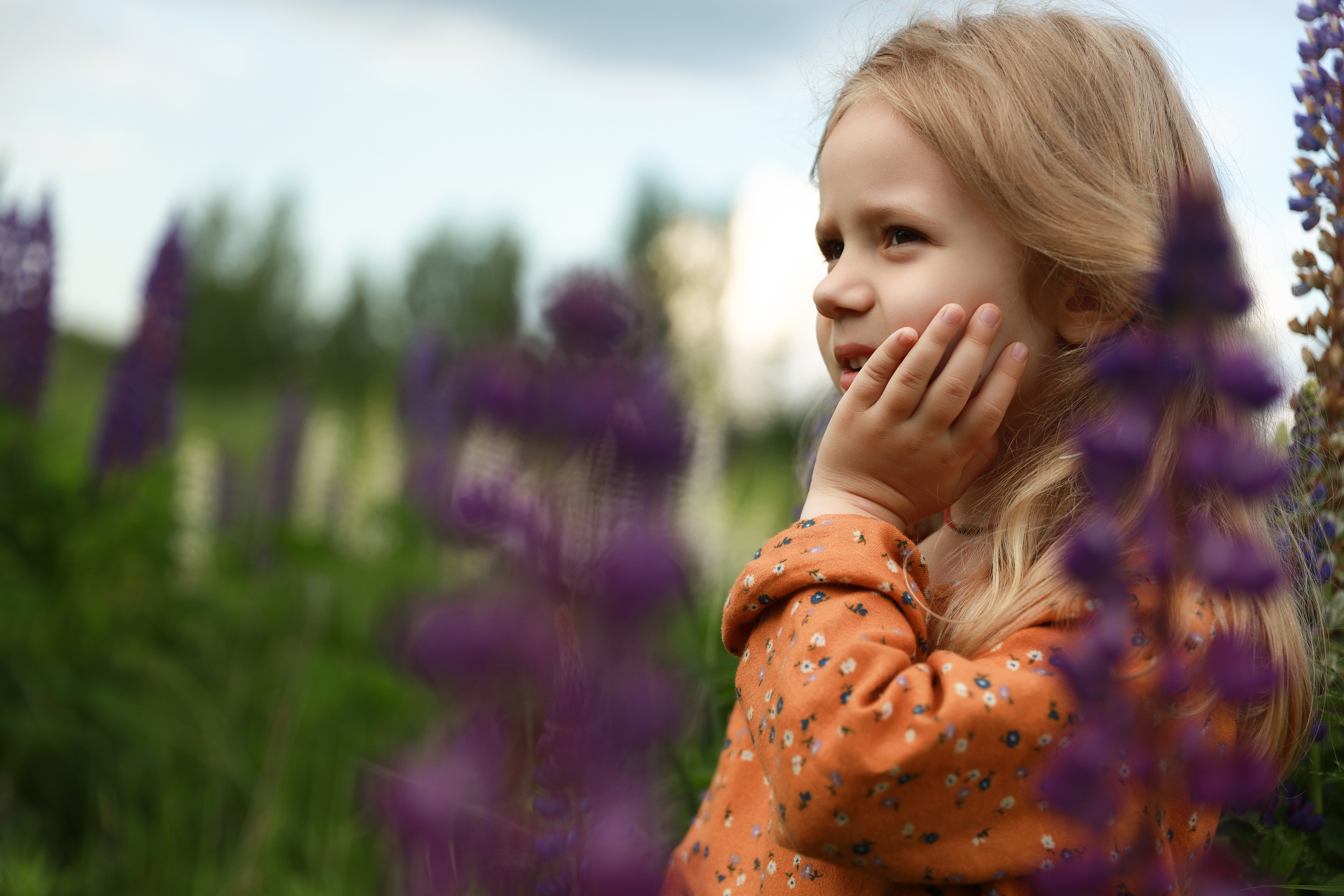 Фотосессия в люпинах. Бочарова Мария — школьный фотограф Апрелевка, Новая Москва, Московская область