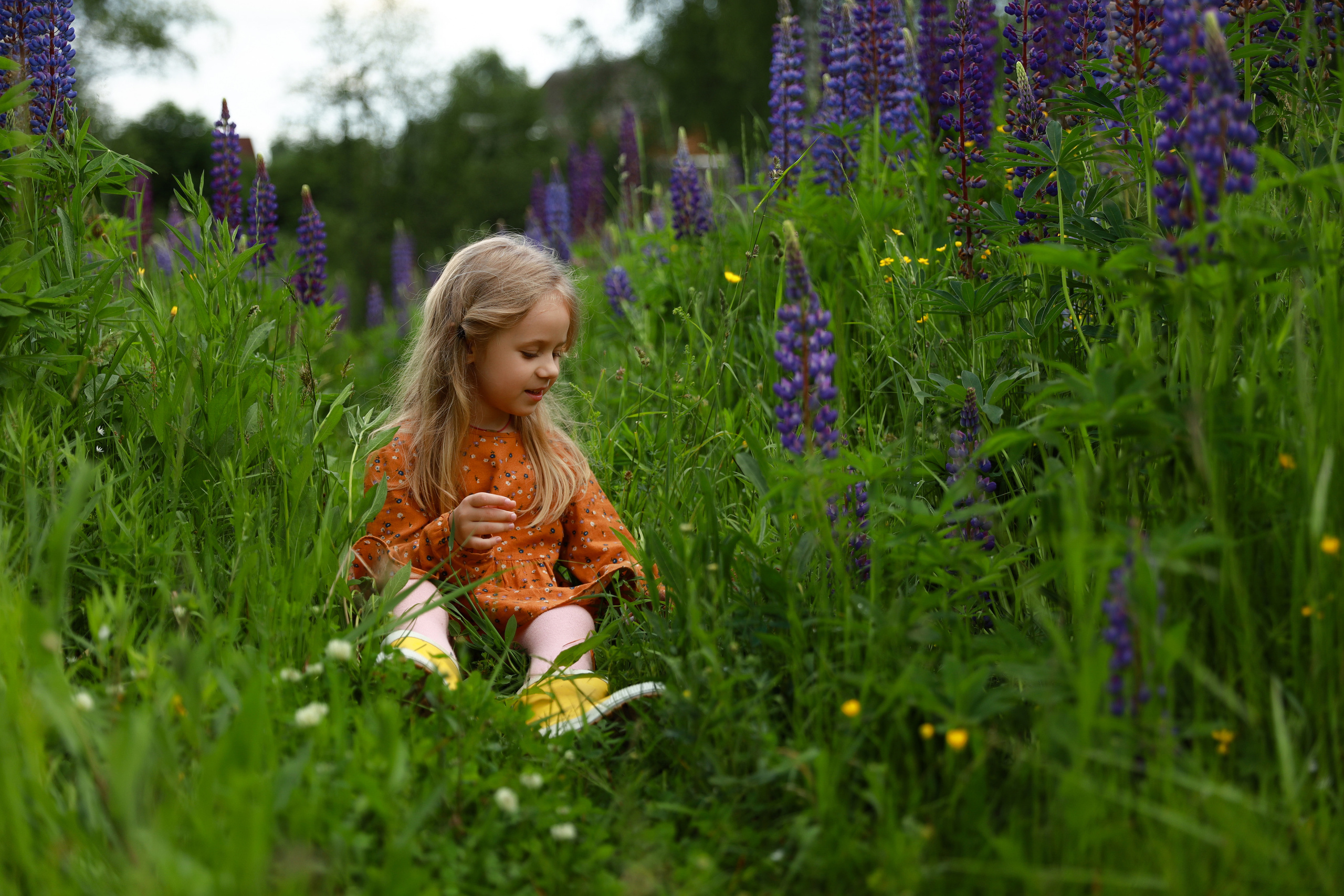 Фотосессия в люпинах. Бочарова Мария — школьный фотограф Апрелевка, Новая Москва, Московская область
