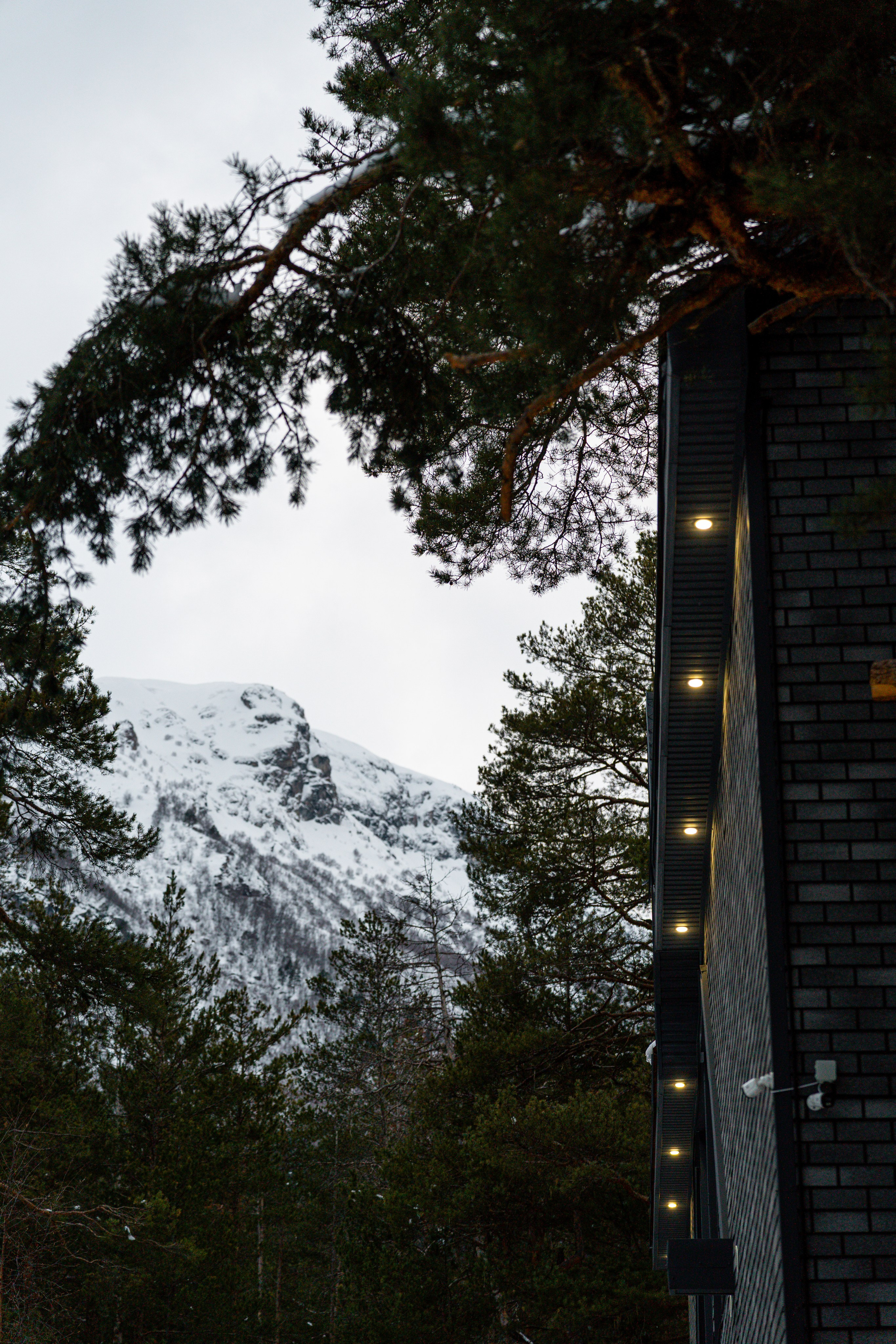 Эклер. Фотограф и видеограф Елена Хмелевская