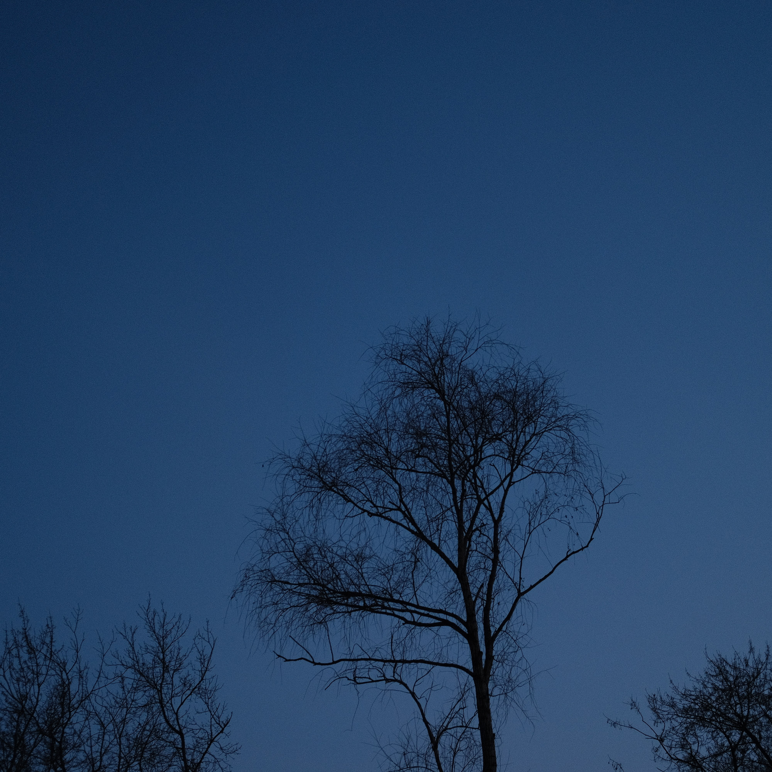 Наблюдения. Семейный фотограф в Новосибирске Артём Кузнецов