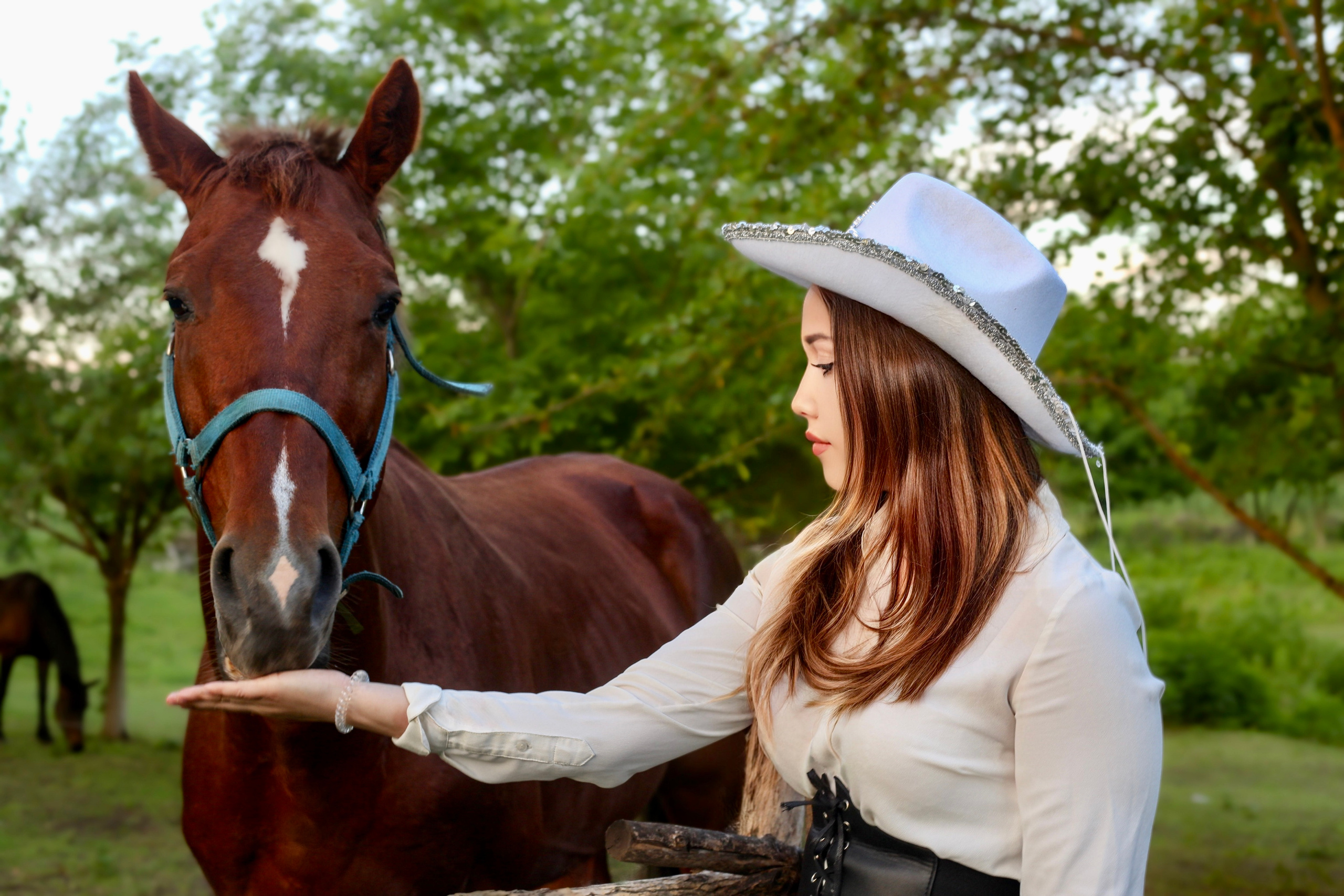 Фотосессия девушка с лошадью.Модель Алина. Семейный фотограф в Краснодаре и в Краснодарском крае