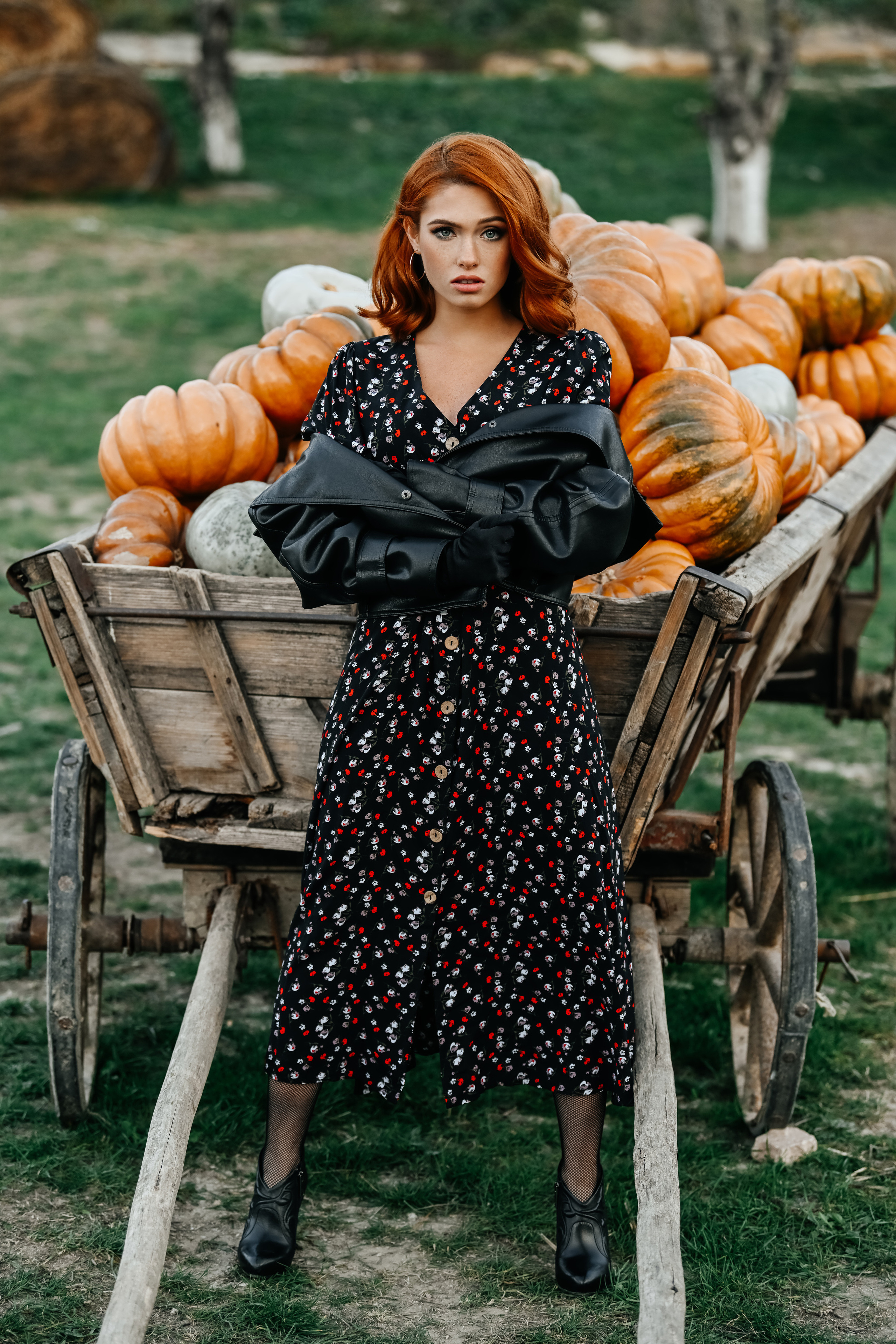 На ферме с тыквами. Фотограф в Крыму Кот Мария