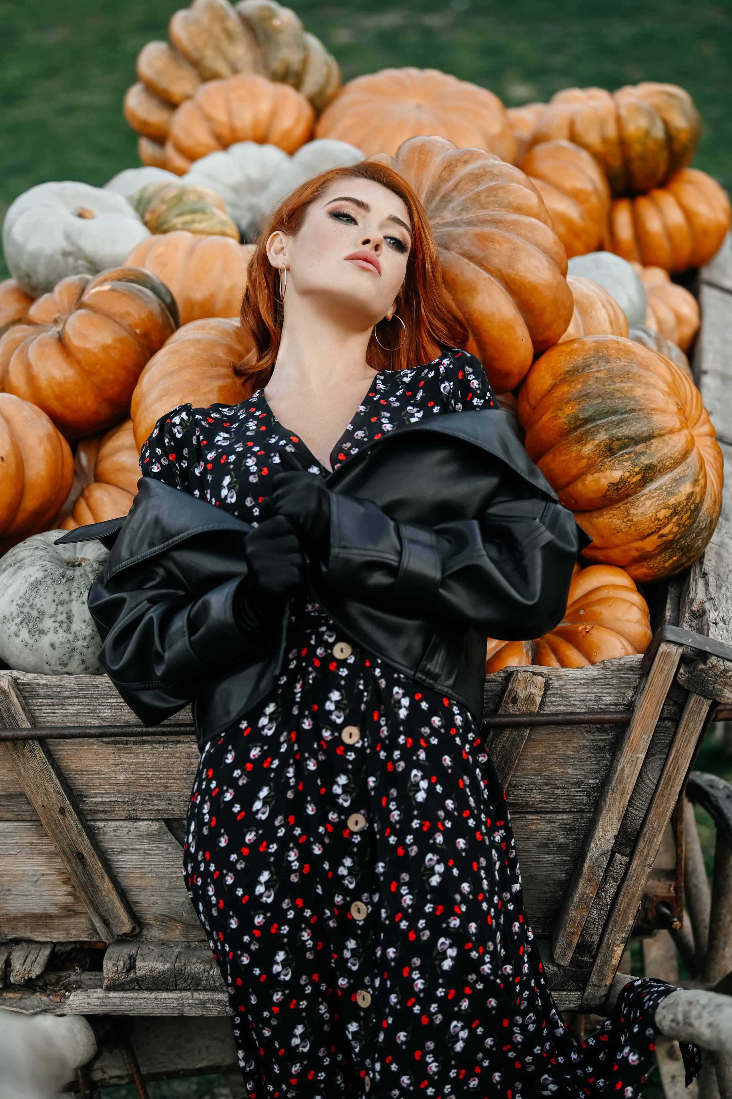 На ферме с тыквами. Фотограф в Крыму Кот Мария