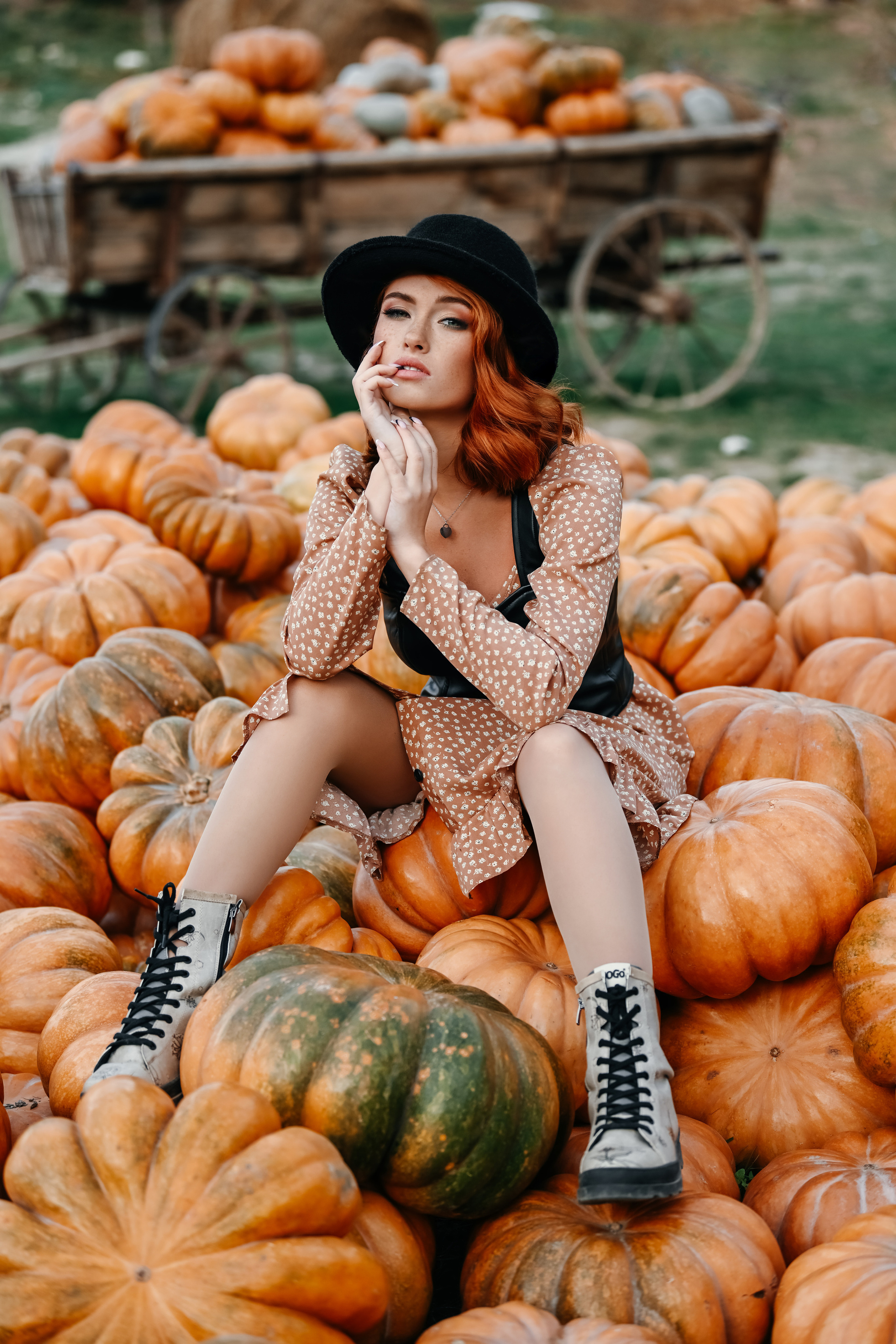 На ферме с тыквами. Фотограф в Крыму Кот Мария