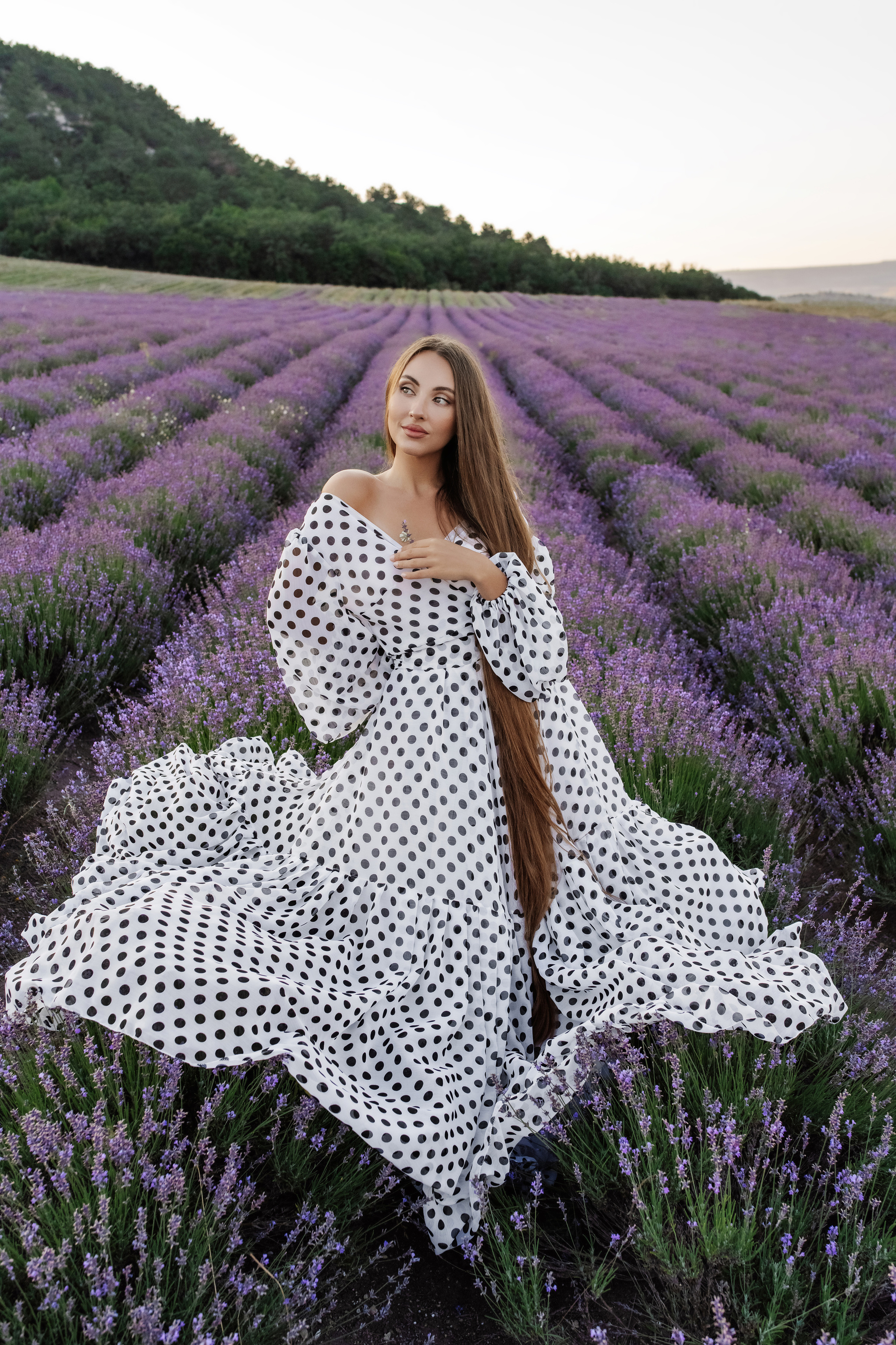 Лаванда. Фотограф в Крыму Кот Мария