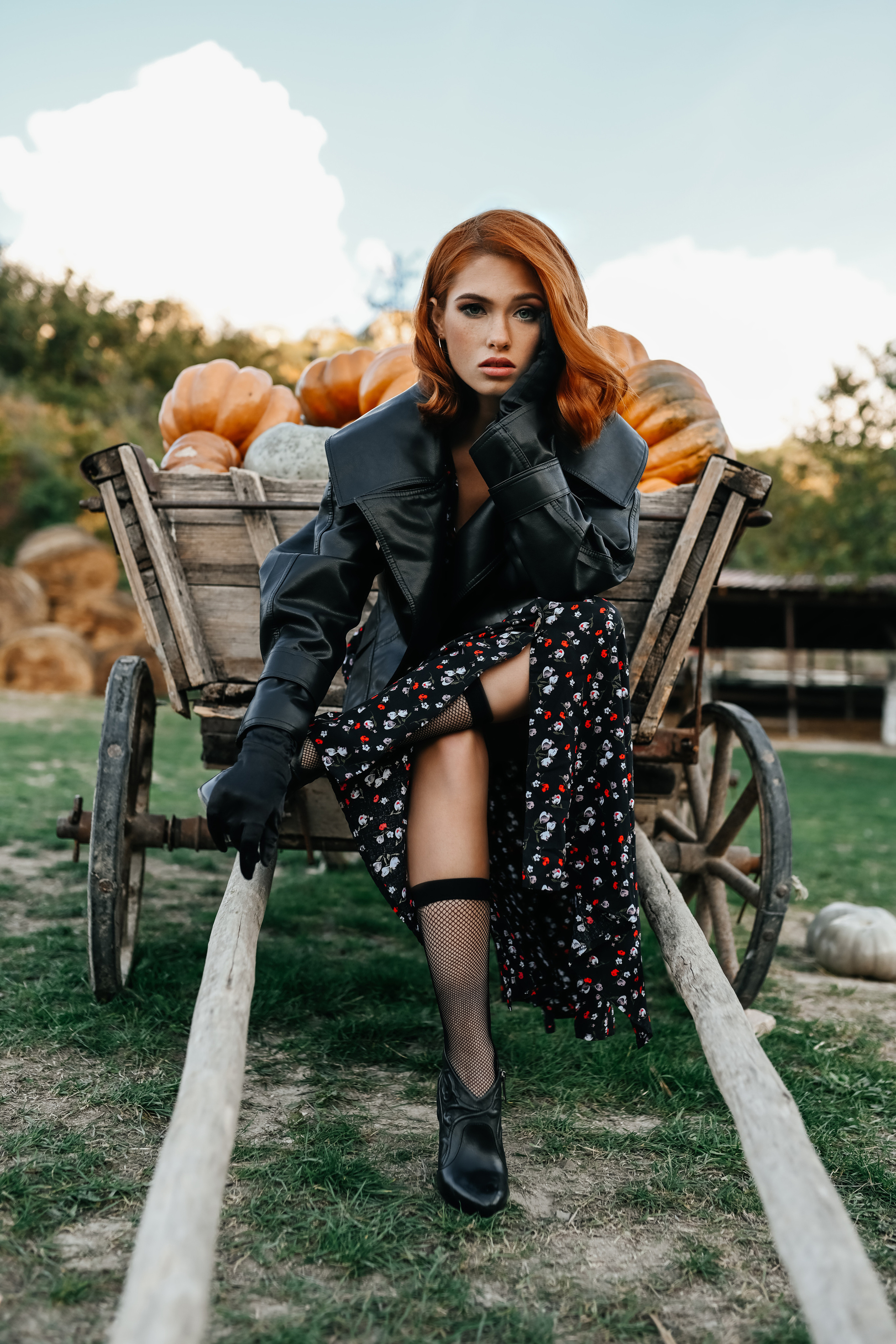 На ферме с тыквами. Фотограф в Крыму Кот Мария