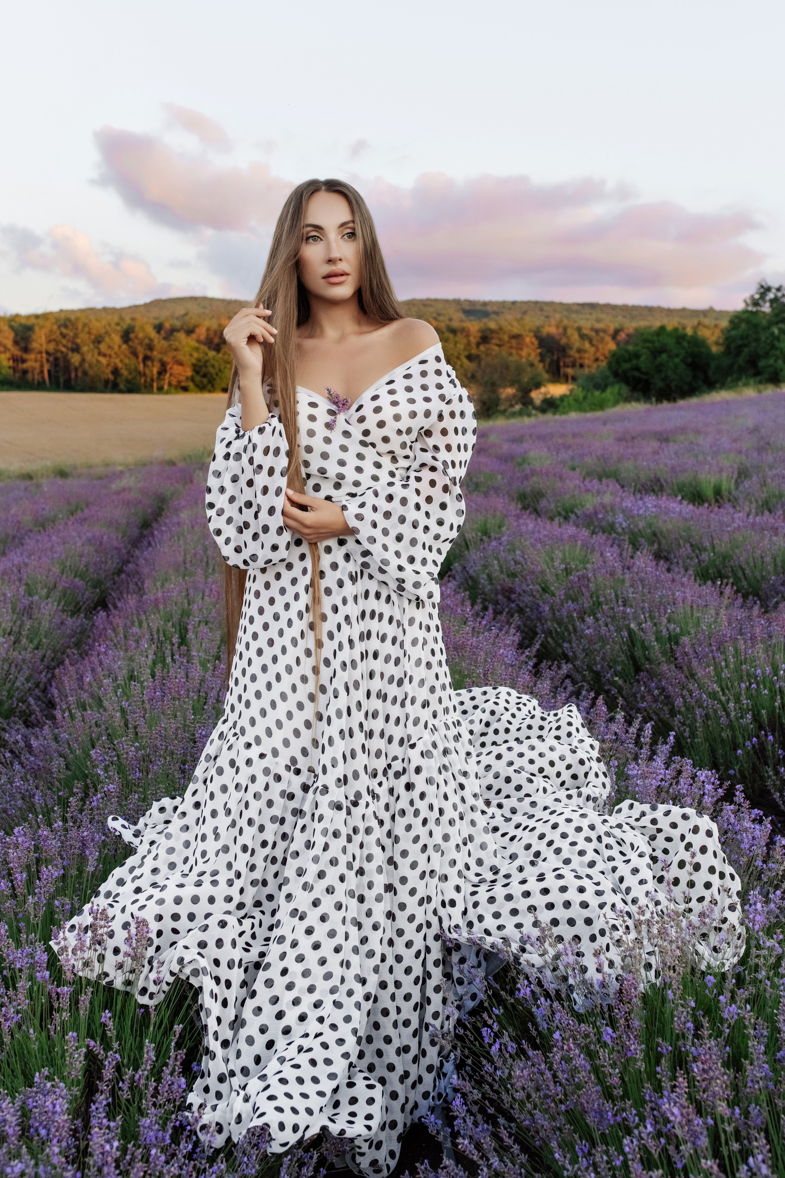 Лаванда. Фотограф в Крыму Кот Мария