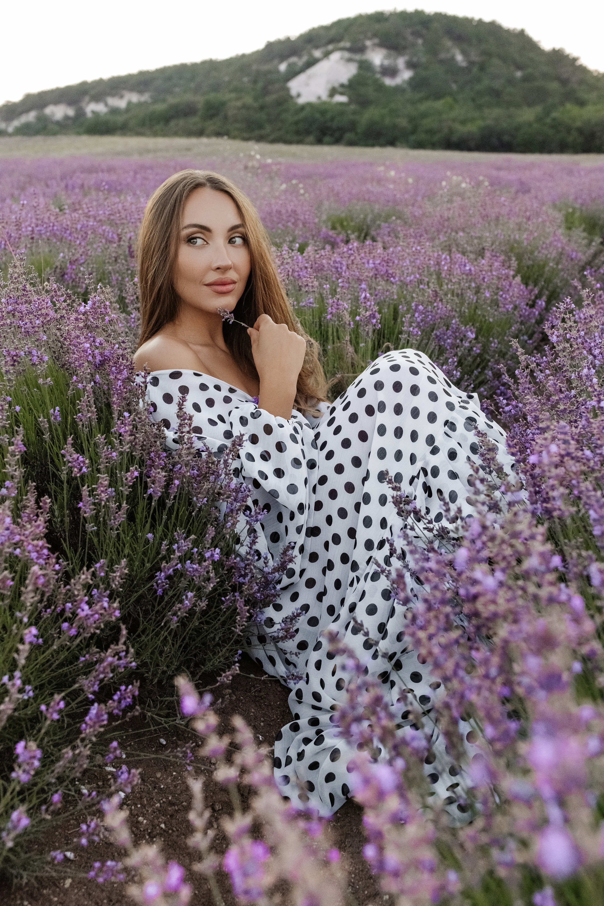 Лаванда. Фотограф в Крыму Кот Мария