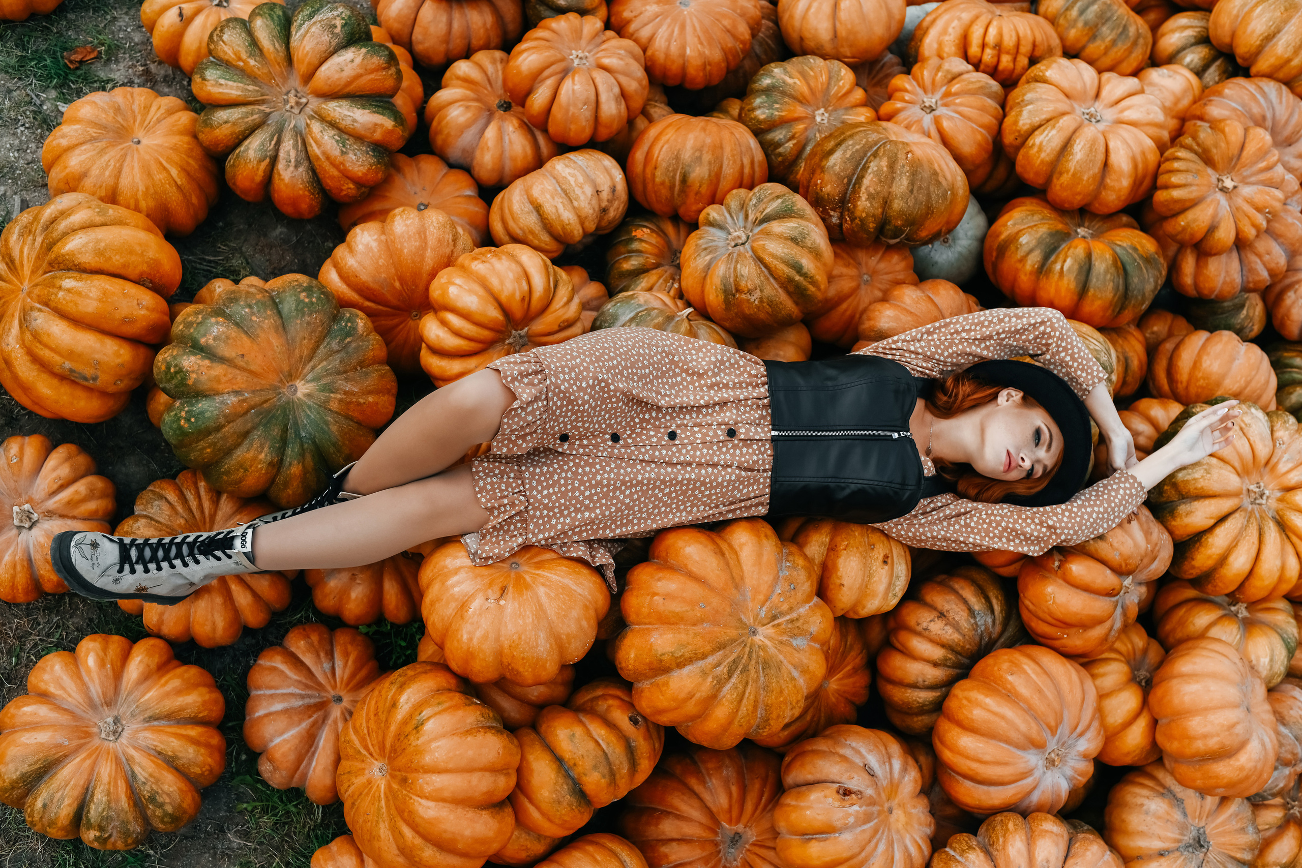 На ферме с тыквами. Фотограф в Крыму Кот Мария