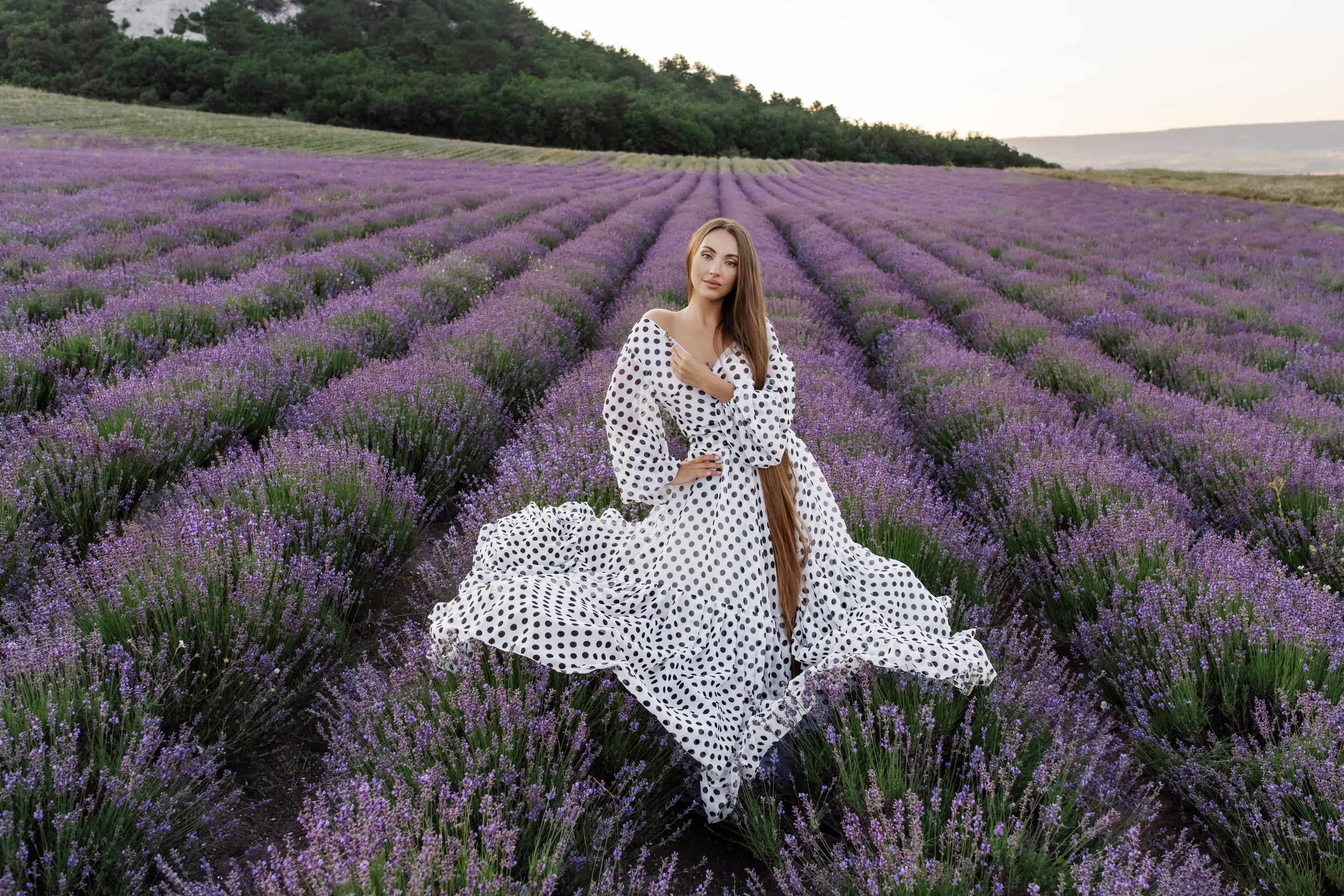 Лаванда. Фотограф в Крыму Кот Мария