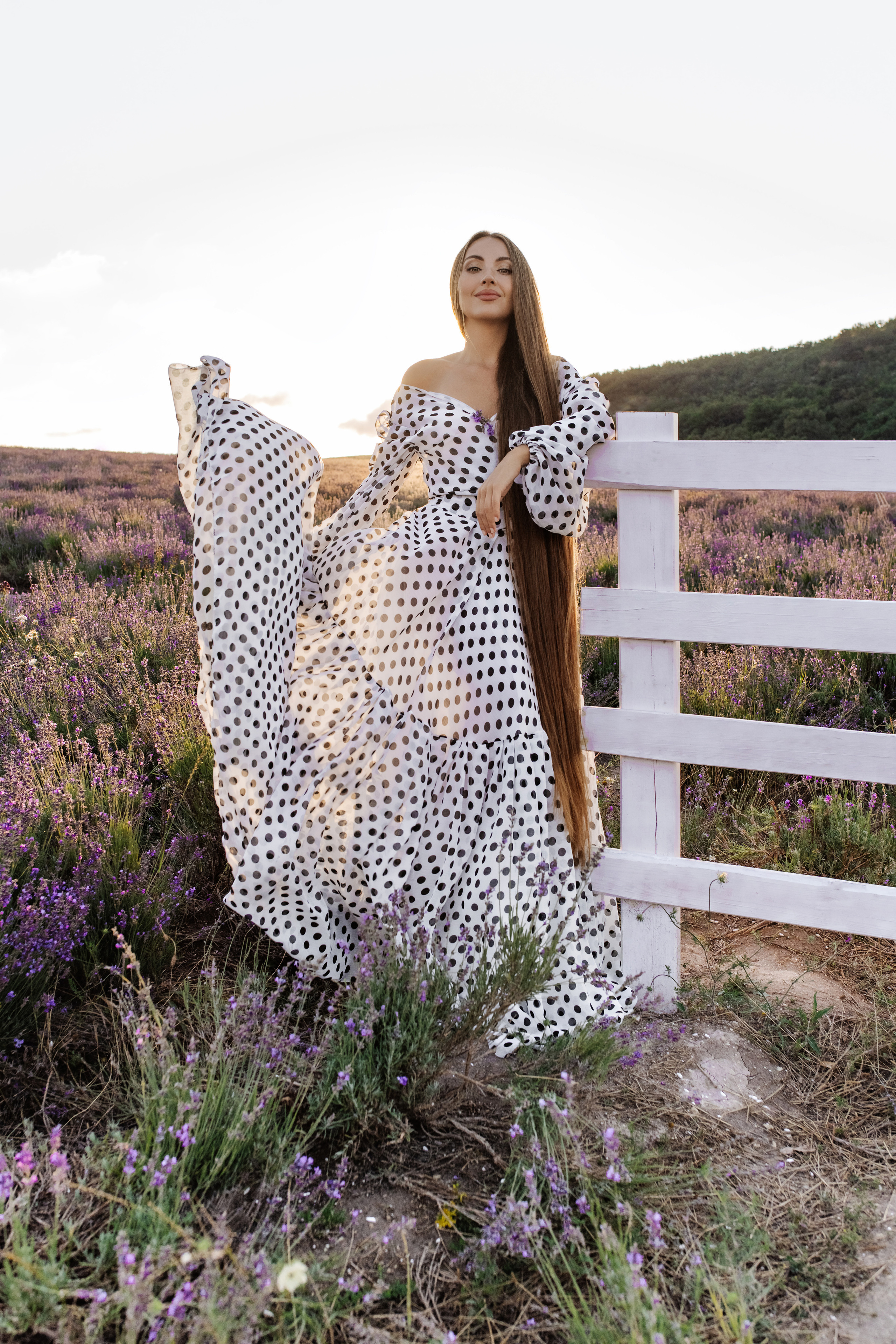 Лаванда. Фотограф в Крыму Кот Мария