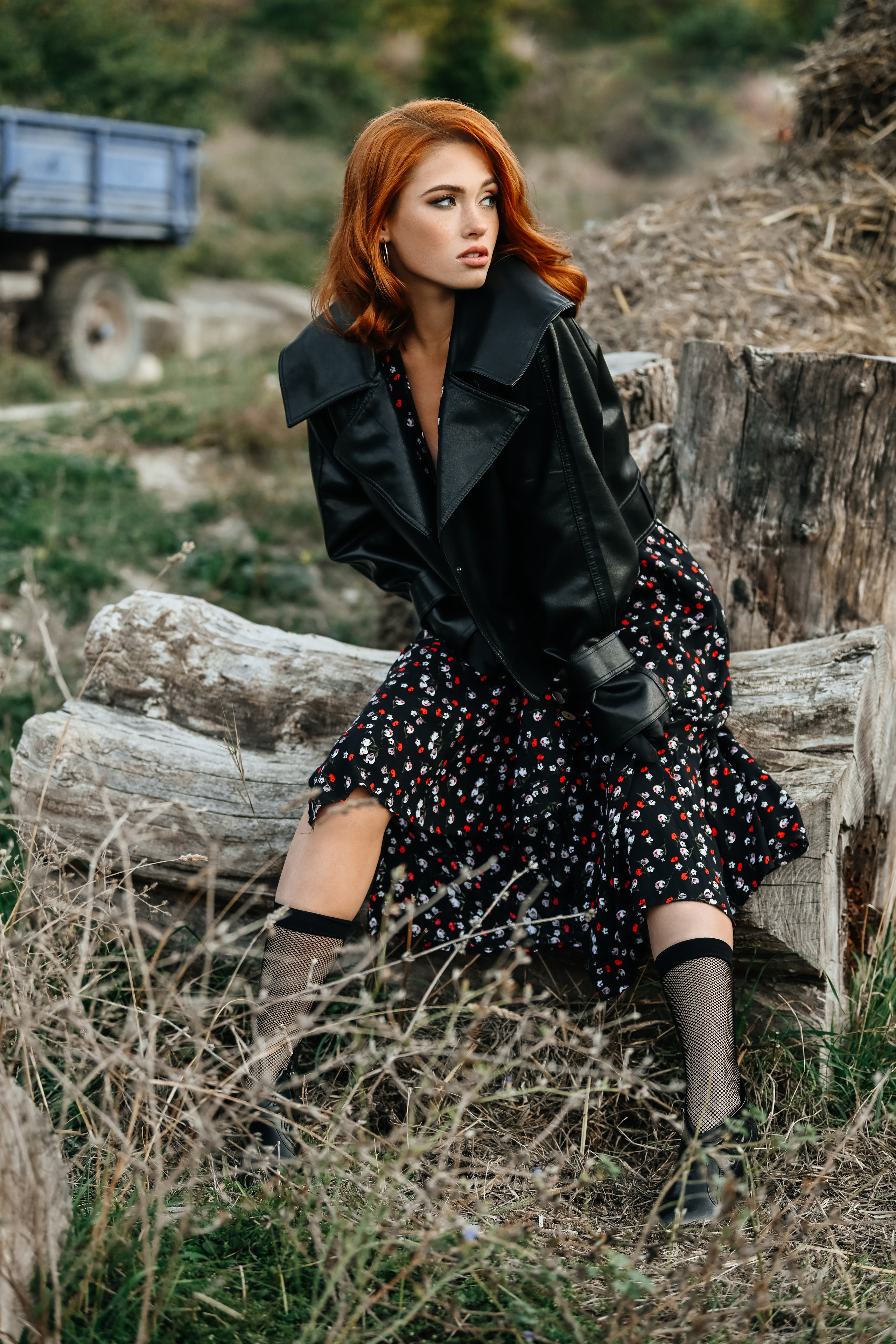 На ферме с тыквами. Фотограф в Крыму Кот Мария