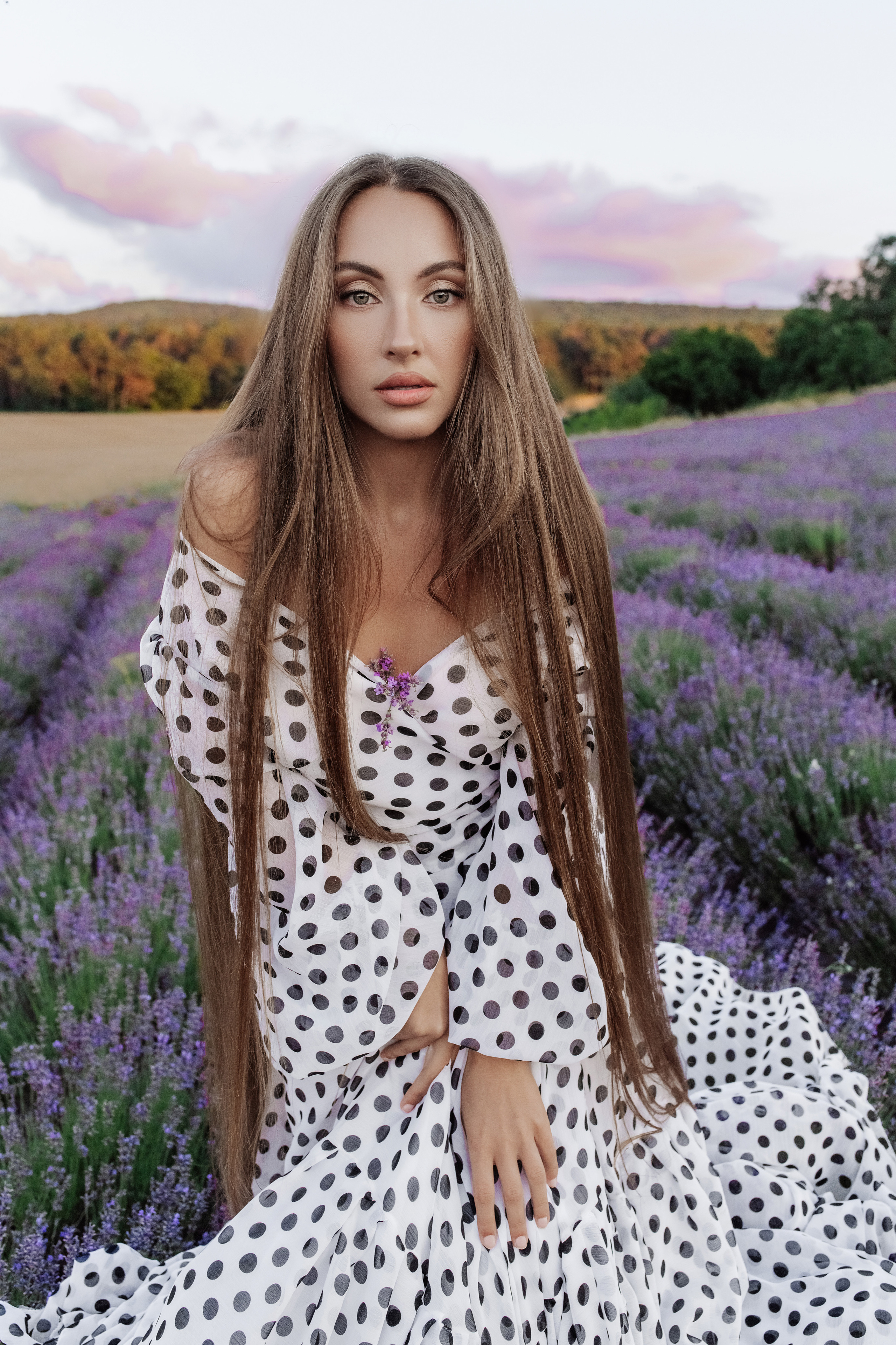 Лаванда. Фотограф в Крыму Кот Мария