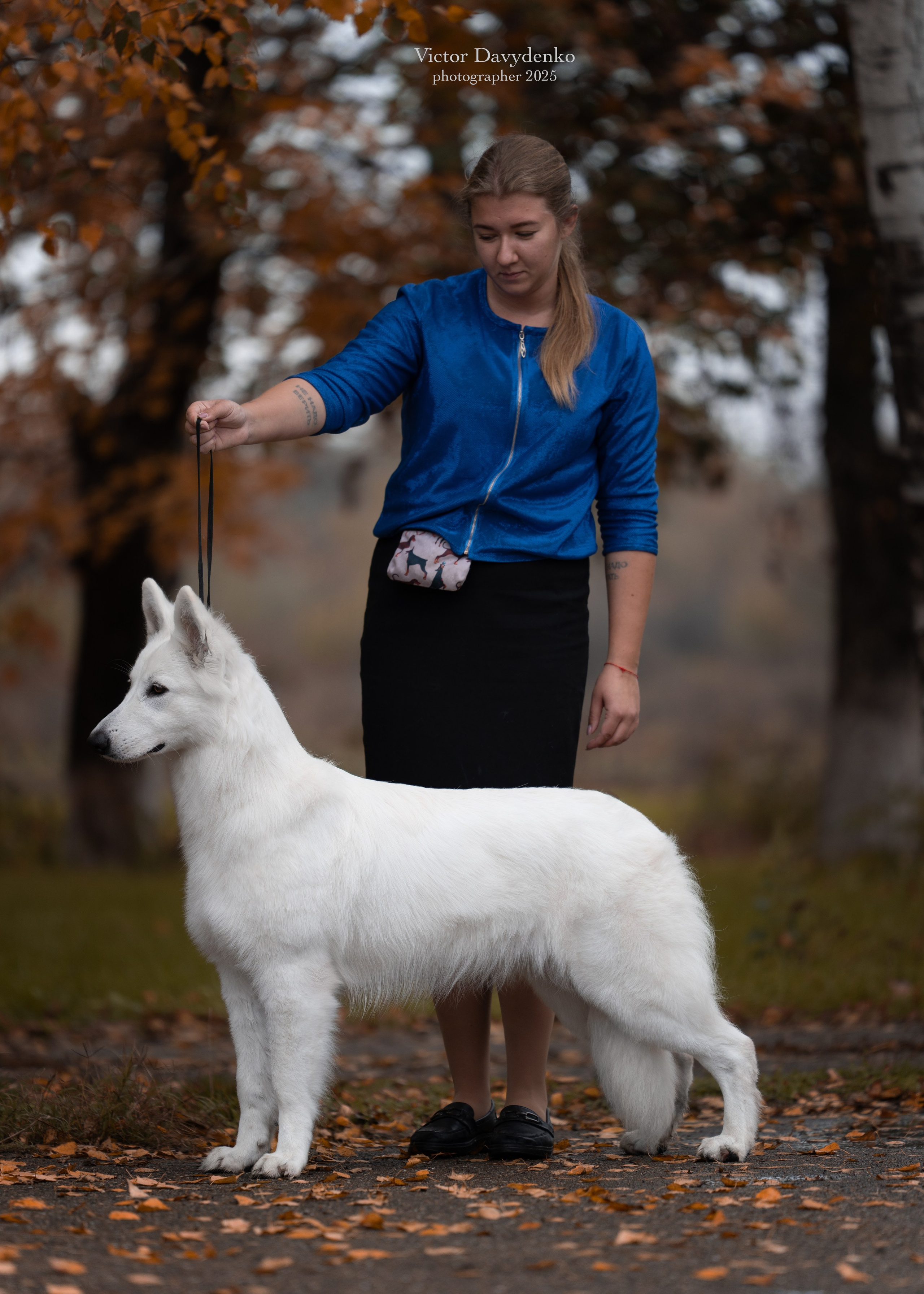 фотограф краснодар сочи , фотосессия в Краснодаре , фотограф анималист , фото с собаками , фото с животными 